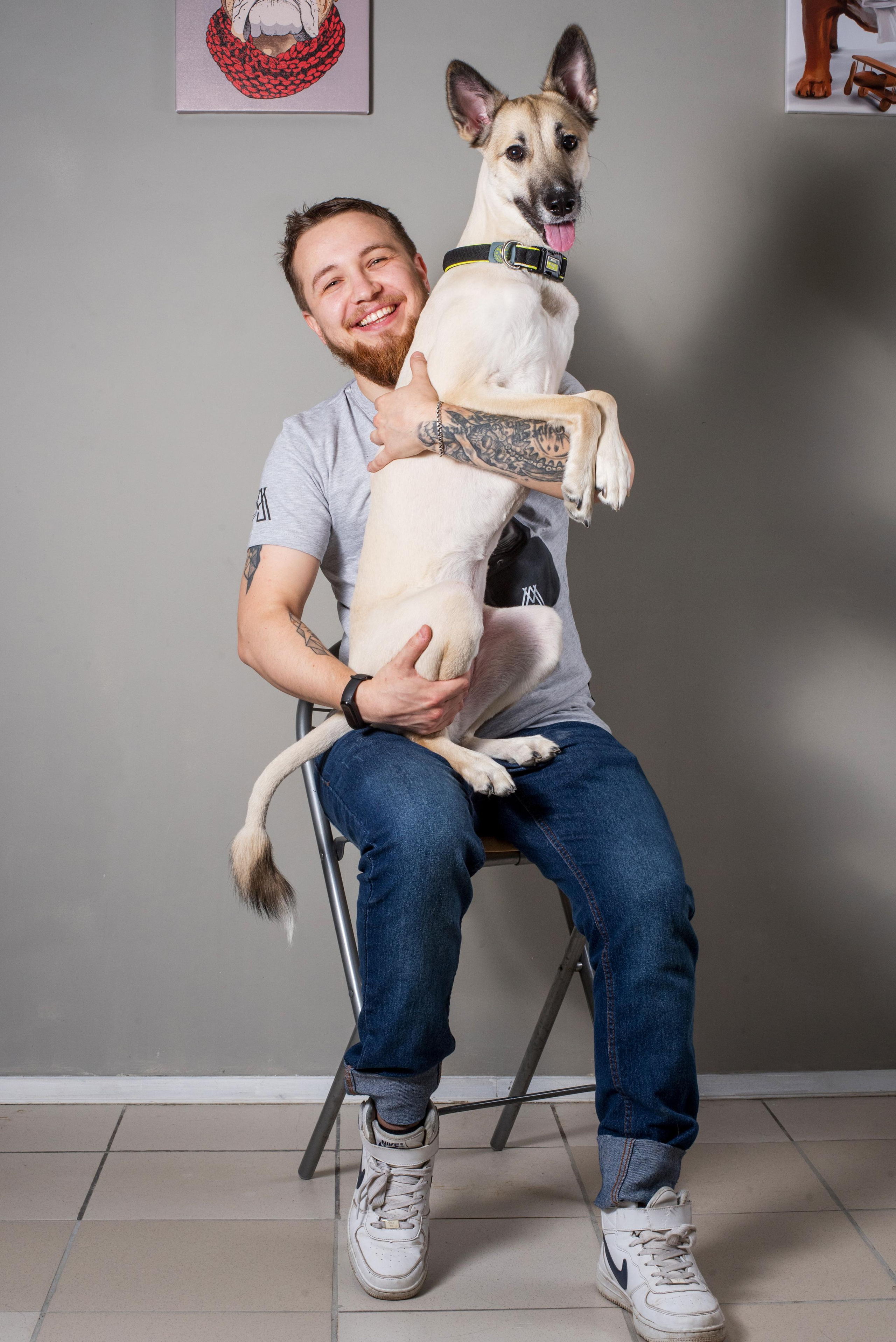 Ветеринарный центр «Ника». Дог-фотограф в Тюмени Александра Королева