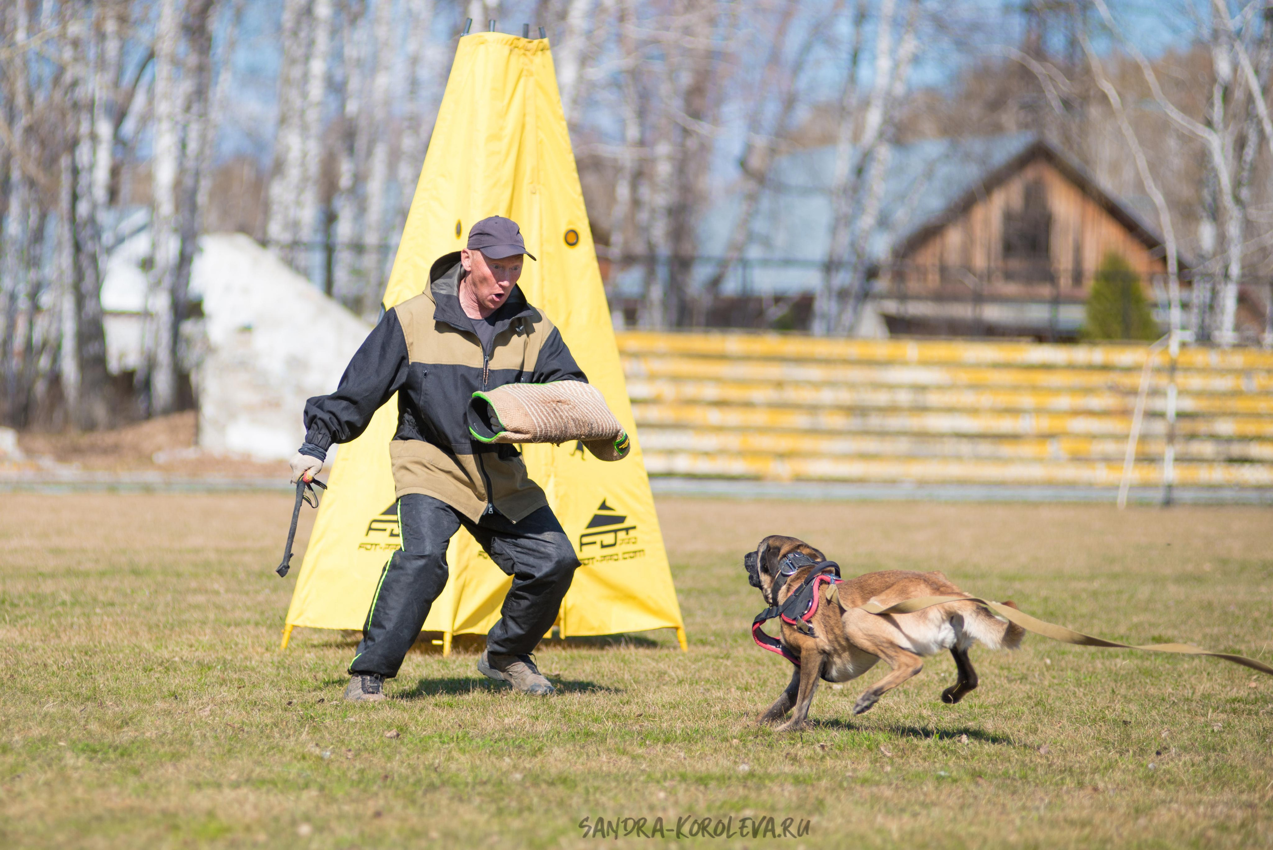 Тренинг с Сергеем Усковым май 2021 г.Тюмень. Дог-фотограф в Тюмени Александра Королева