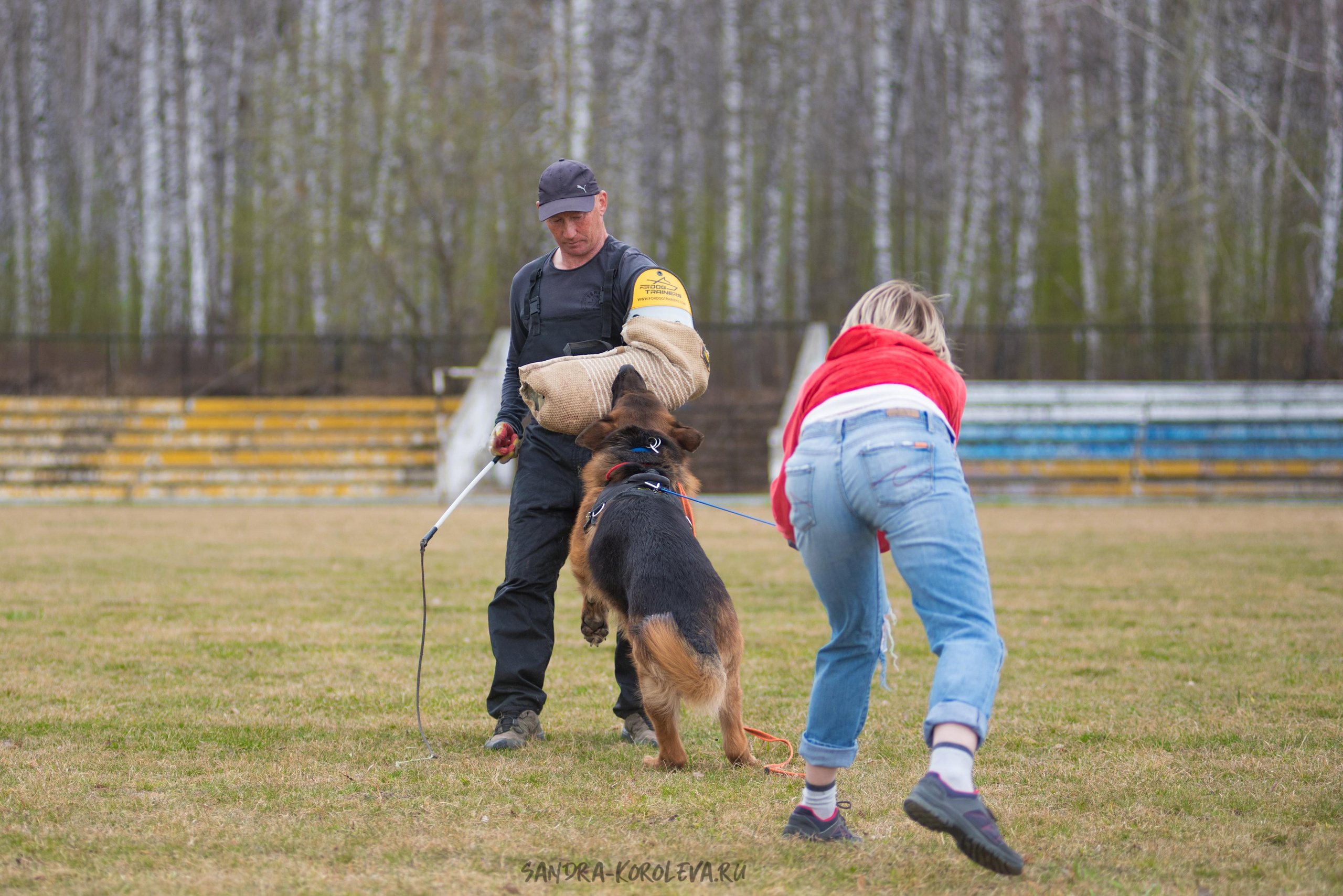 Тренинг с Сергеем Усковым май 2021 г.Тюмень. Дог-фотограф в Тюмени Александра Королева