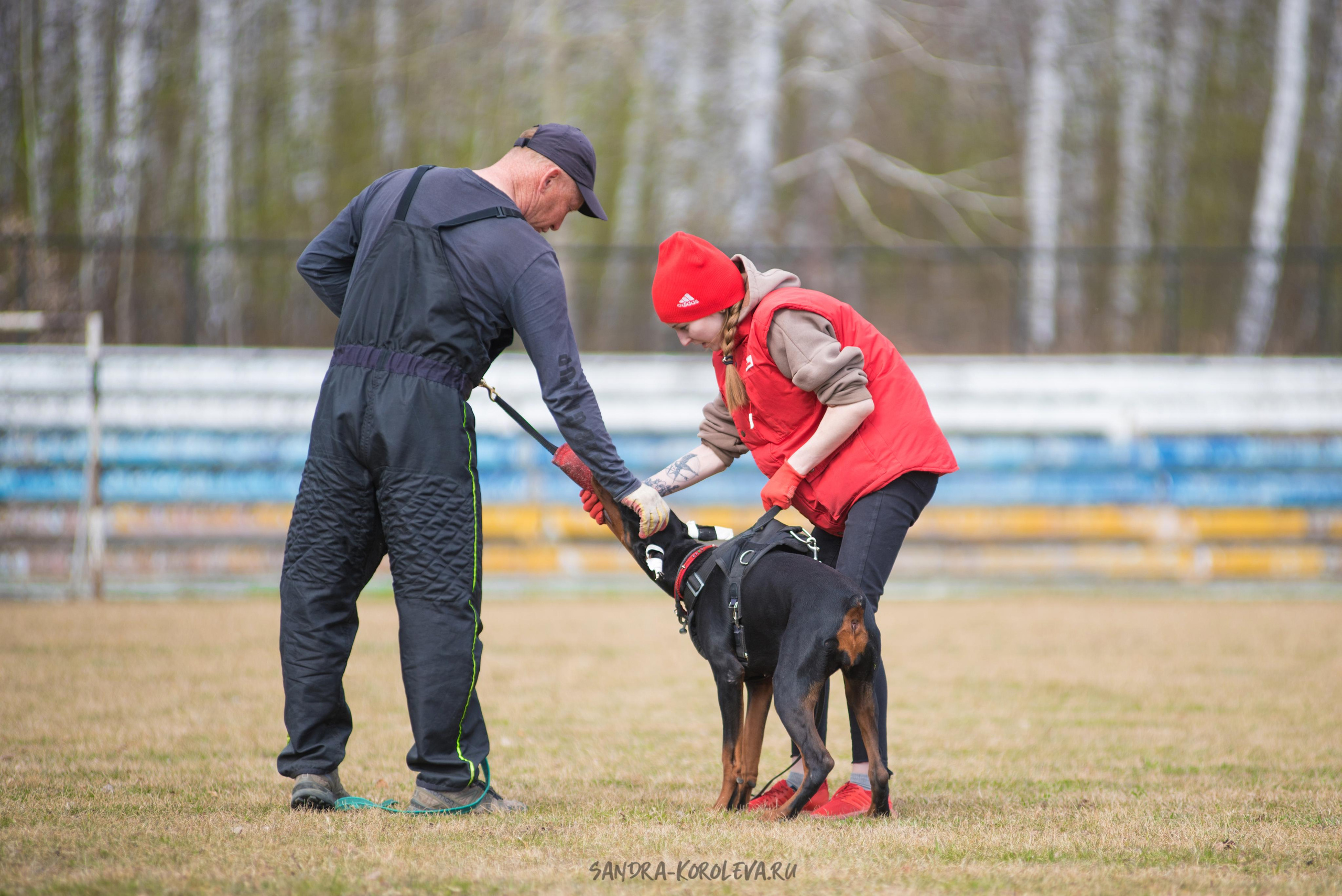 Тренинг с Сергеем Усковым май 2021 г.Тюмень. Дог-фотограф в Тюмени Александра Королева