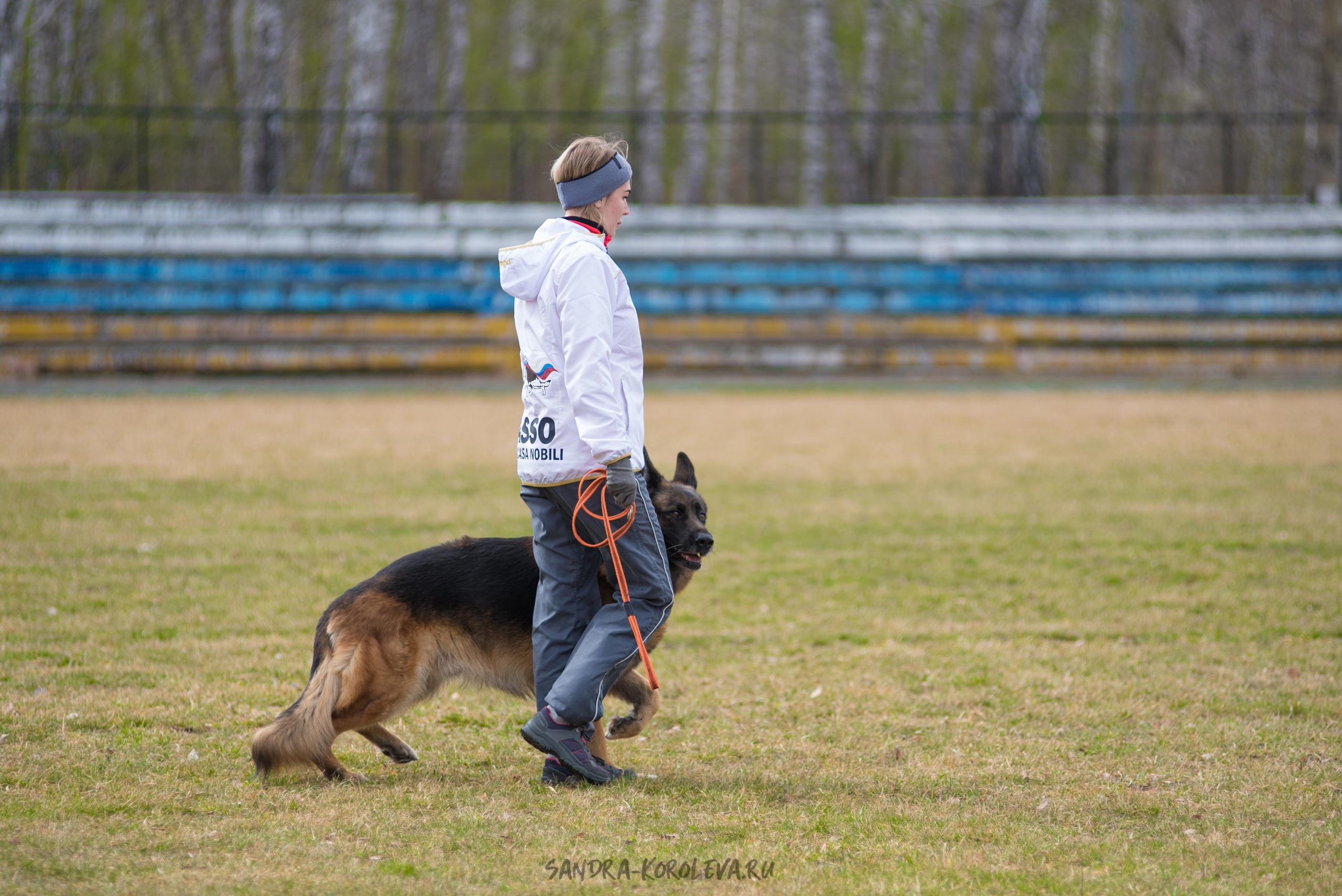 Тренинг с Сергеем Усковым май 2021 г.Тюмень. Дог-фотограф в Тюмени Александра Королева