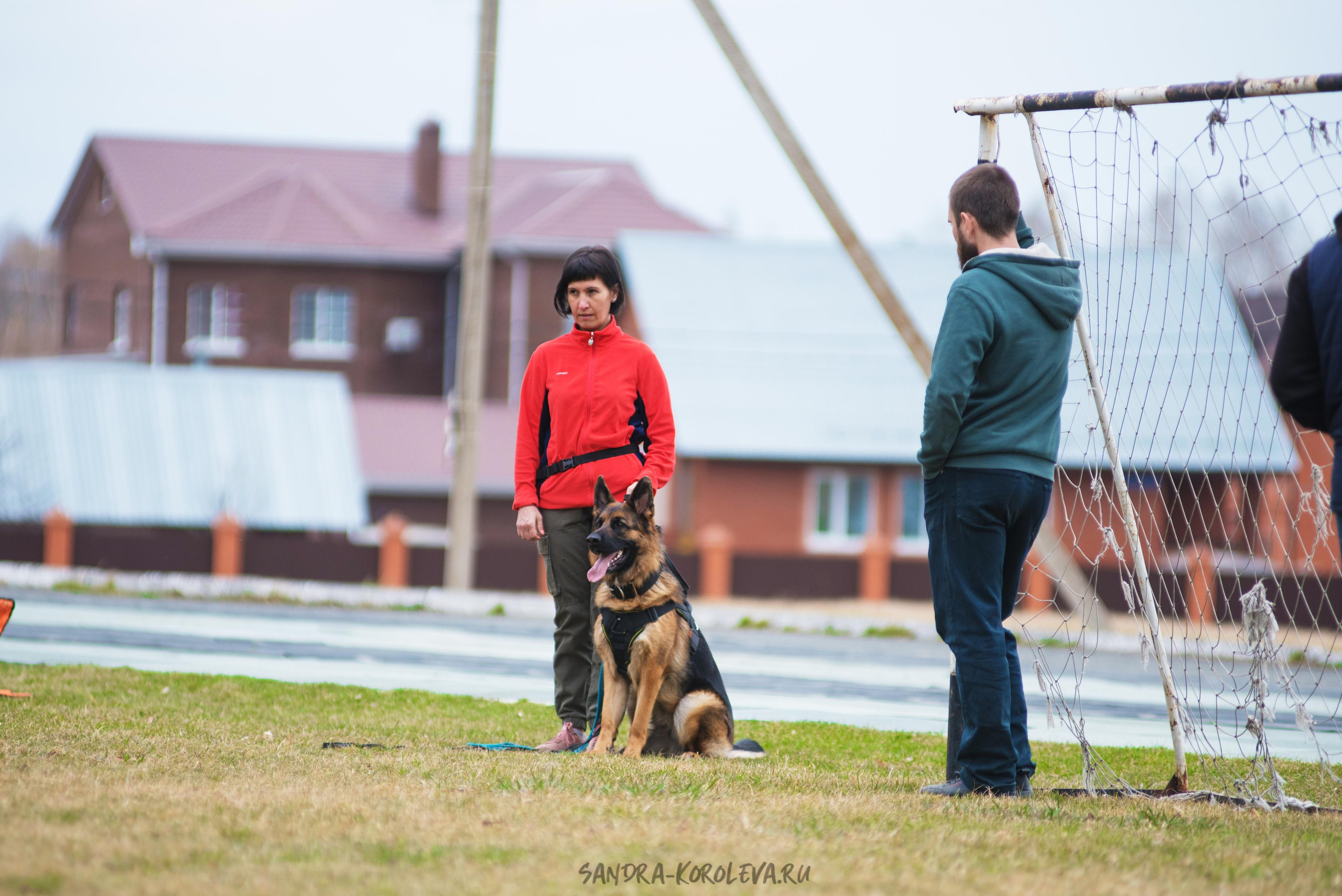 Тренинг с Сергеем Усковым май 2021 г.Тюмень. Дог-фотограф в Тюмени Александра Королева