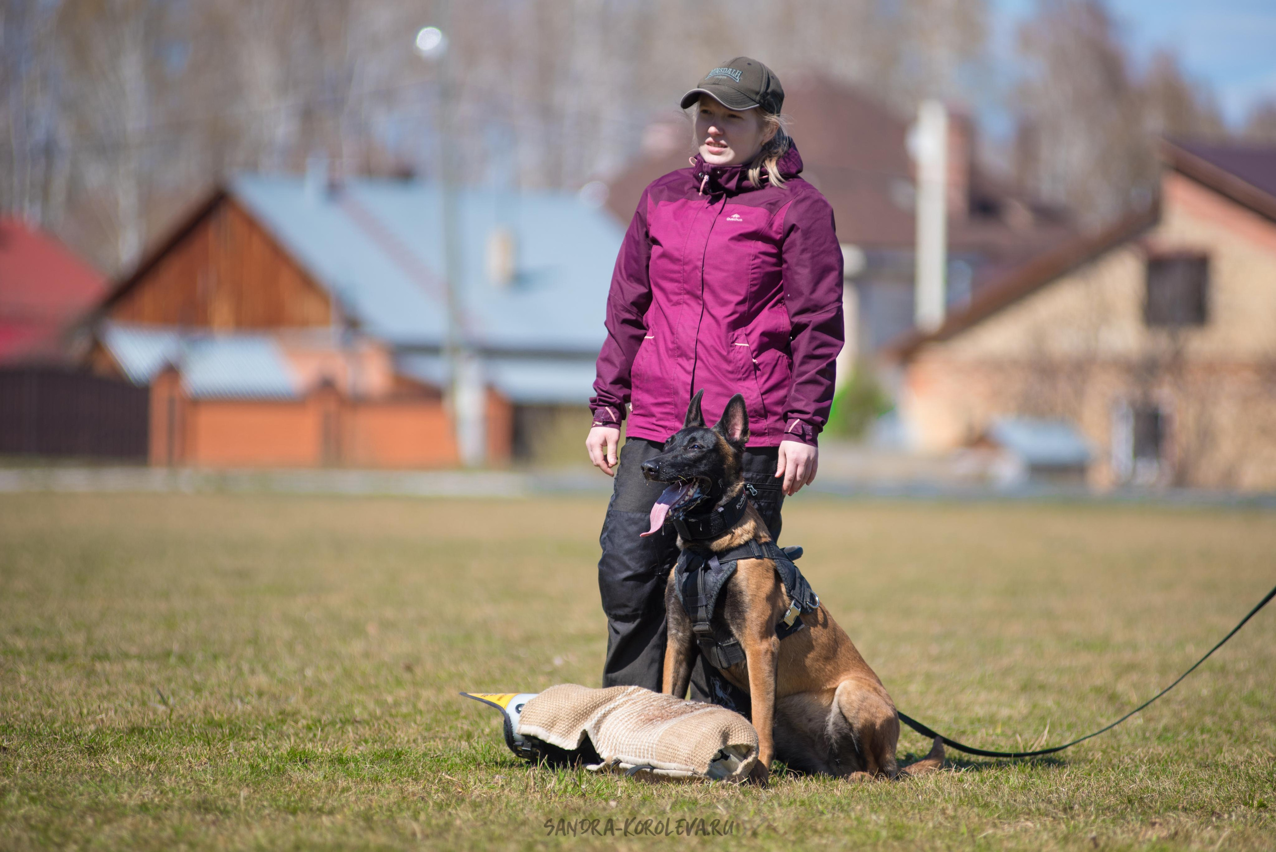 Тренинг с Сергеем Усковым май 2021 г.Тюмень. Дог-фотограф в Тюмени Александра Королева