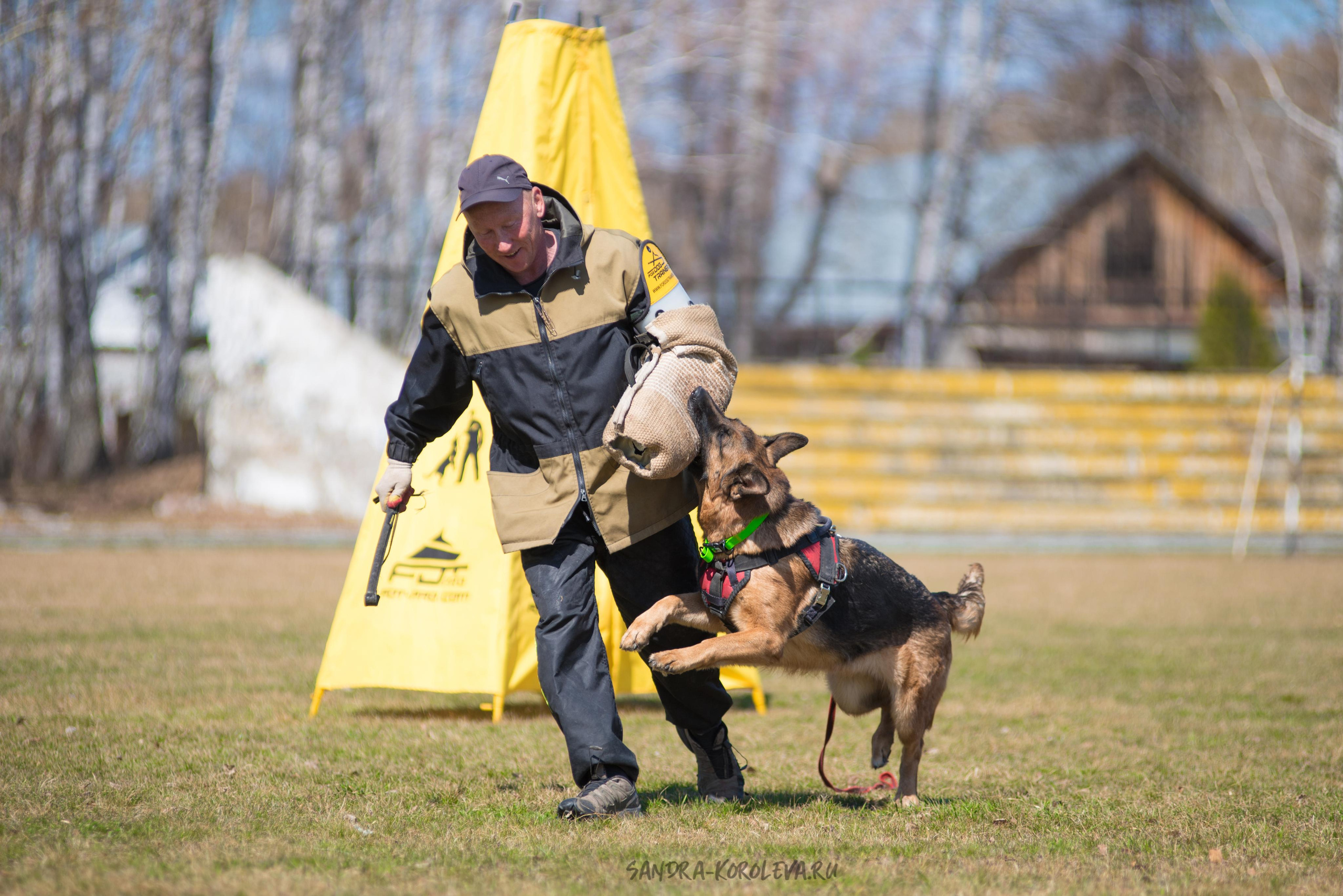 Тренинг с Сергеем Усковым май 2021 г.Тюмень. Дог-фотограф в Тюмени Александра Королева