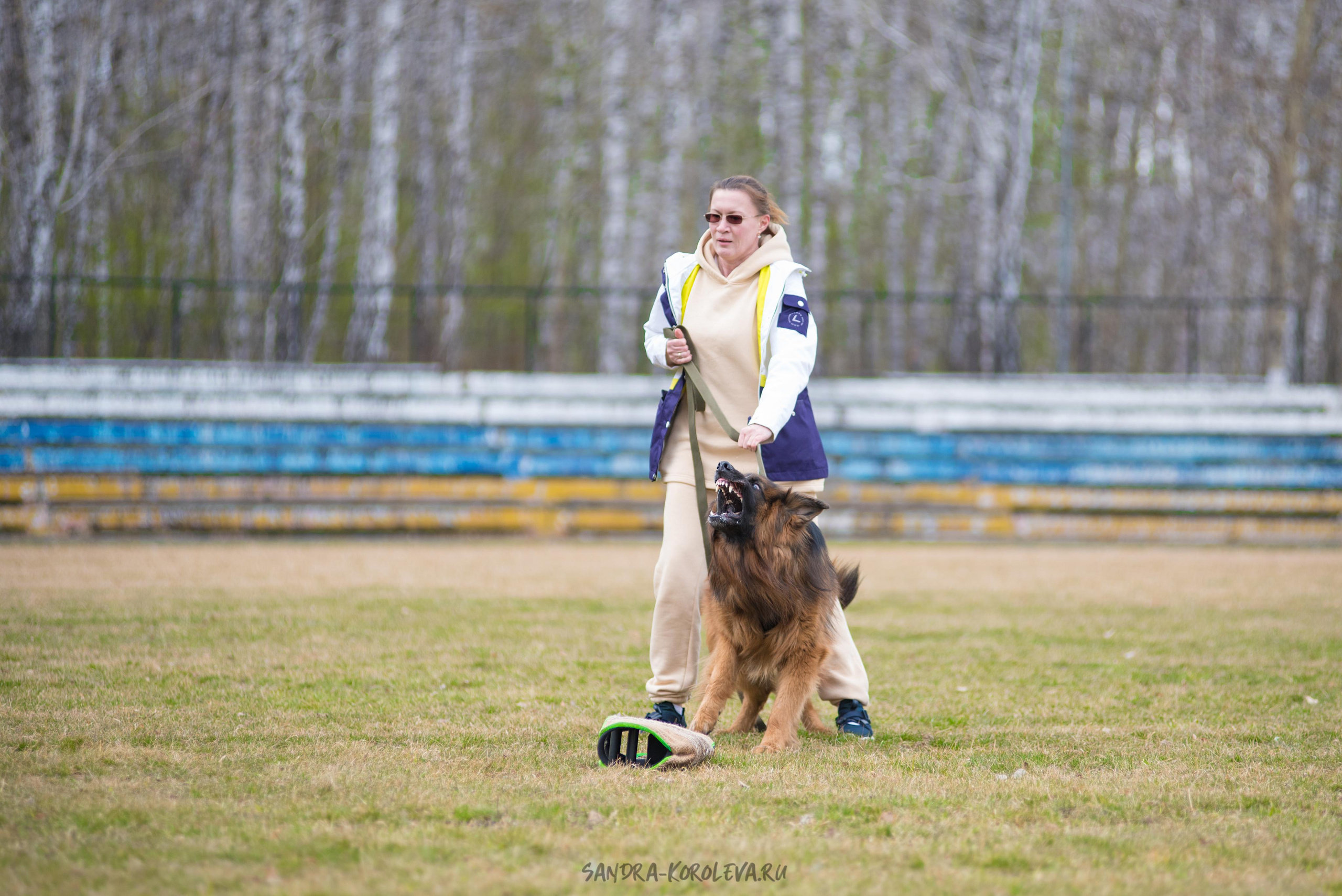 Тренинг с Сергеем Усковым май 2021 г.Тюмень. Дог-фотограф в Тюмени Александра Королева