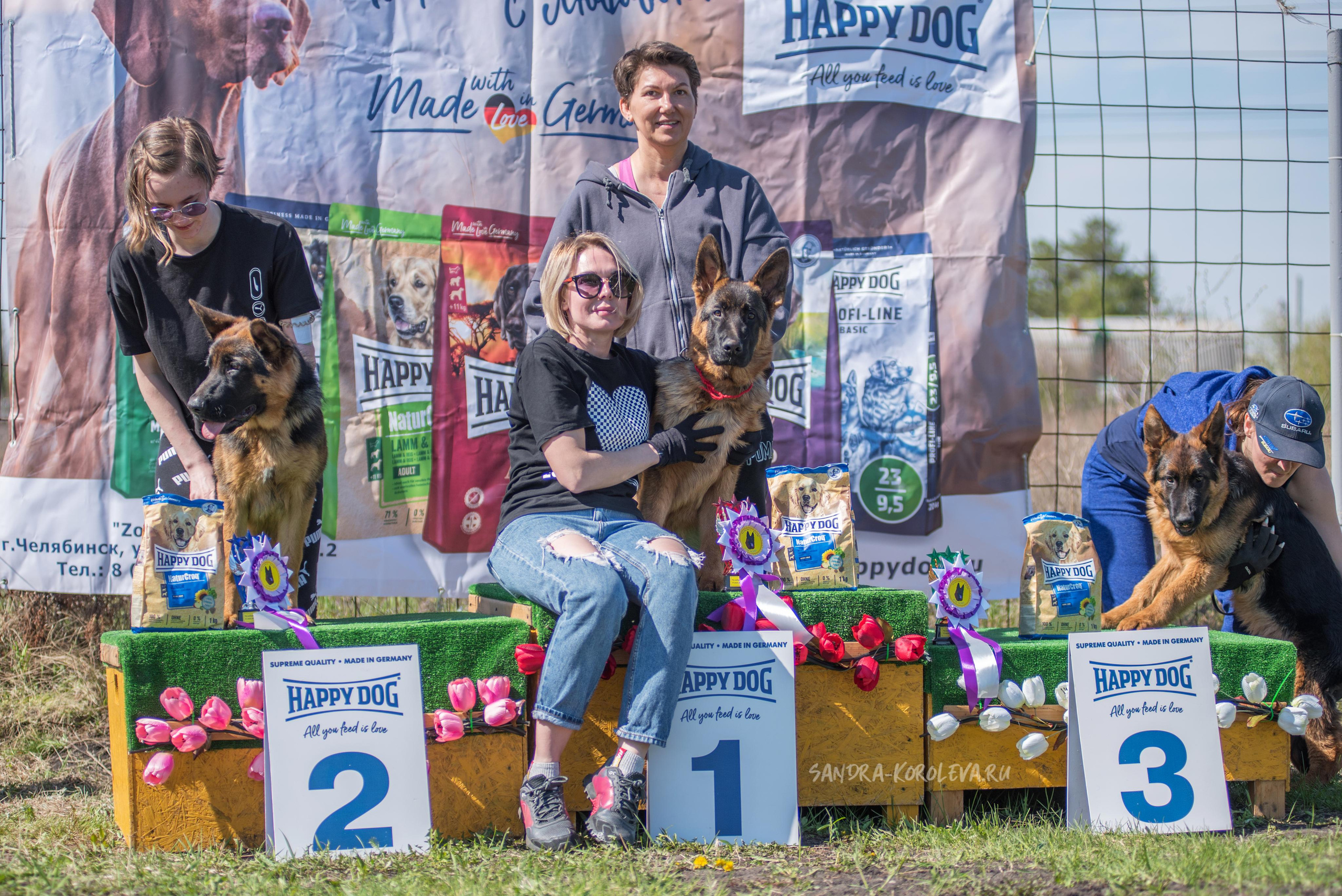 Монопородная выставка немецких овчарок 8 мая г. Челябинск. Дог-фотограф в Тюмени Александра Королева