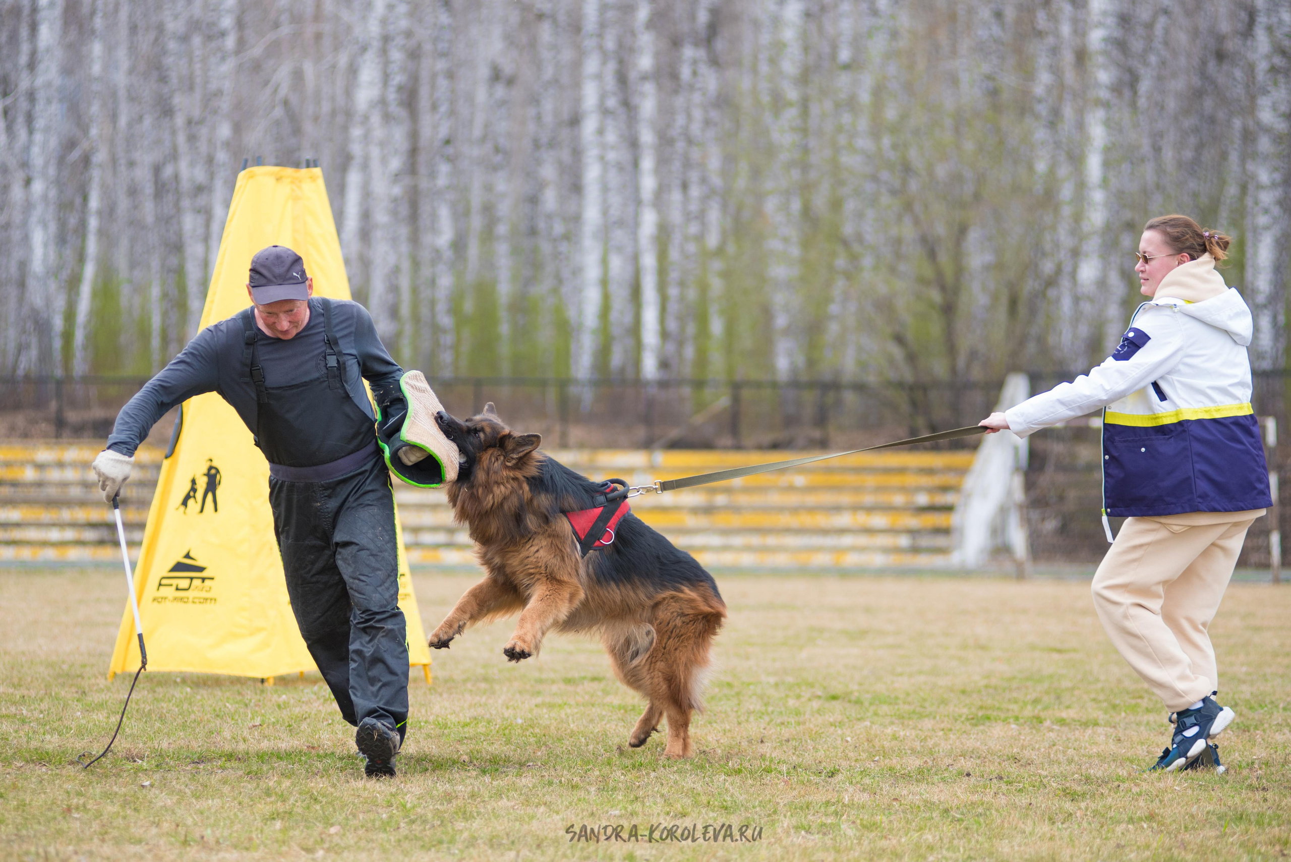 Тренинг с Сергеем Усковым май 2021 г.Тюмень. Дог-фотограф в Тюмени Александра Королева