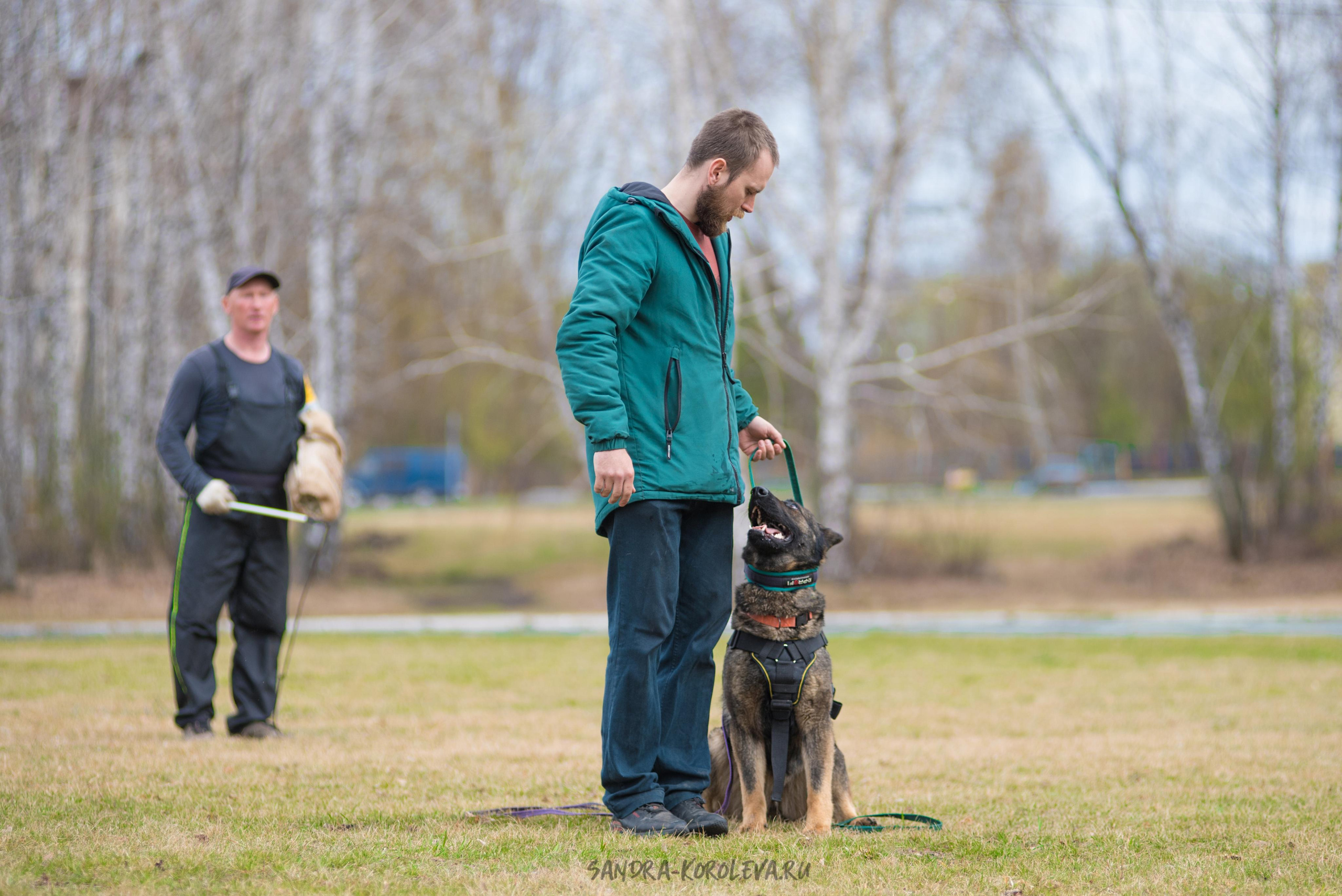 Тренинг с Сергеем Усковым май 2021 г.Тюмень. Дог-фотограф в Тюмени Александра Королева