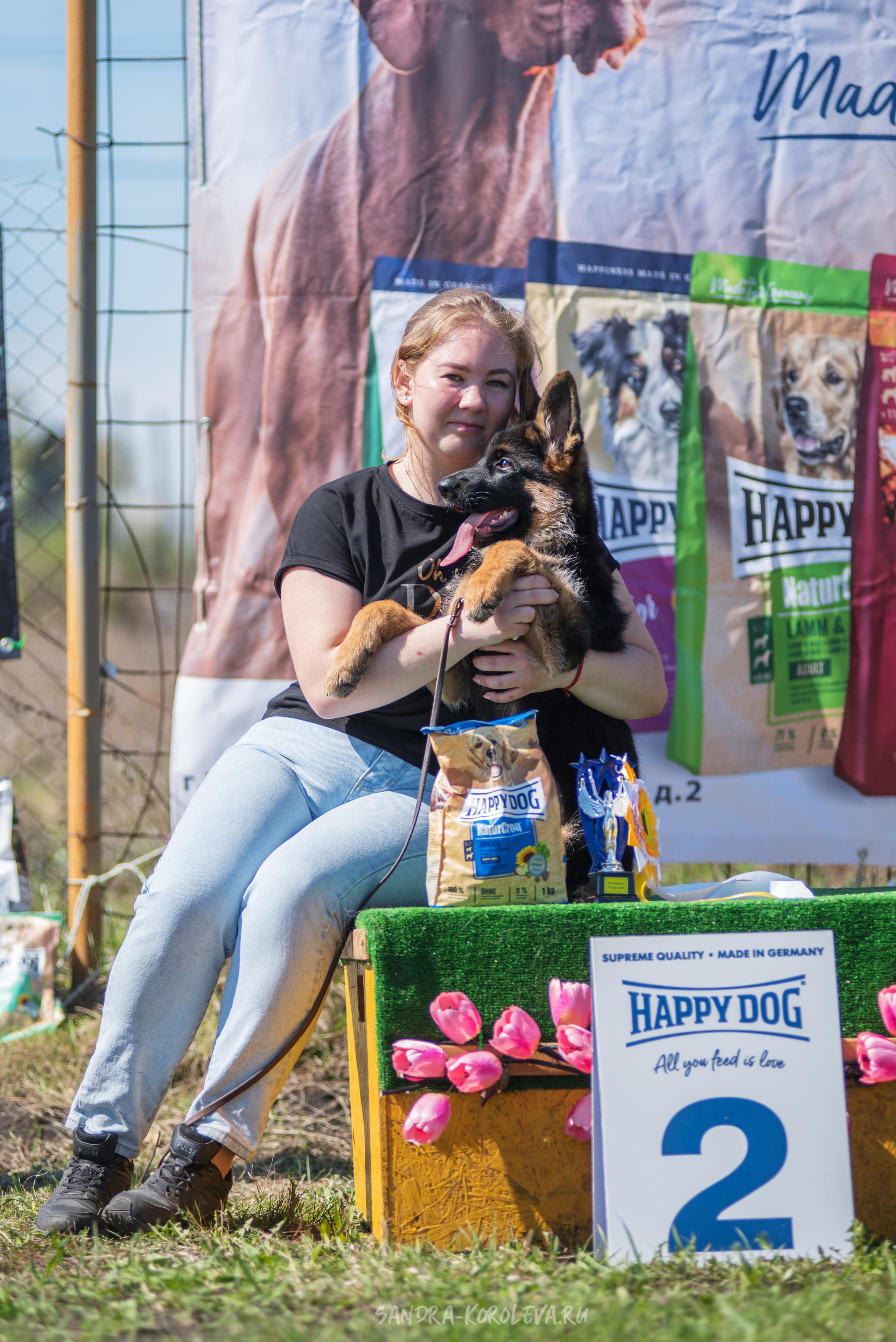 Монопородная выставка немецких овчарок 8 мая г. Челябинск. Дог-фотограф в Тюмени Александра Королева
