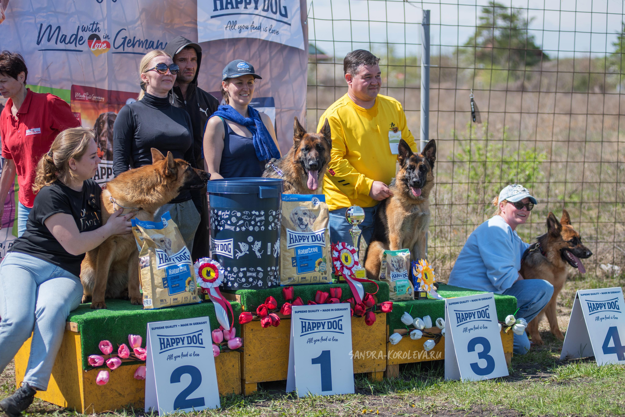 Монопородная выставка немецких овчарок 8 мая г. Челябинск. Дог-фотограф в Тюмени Александра Королева