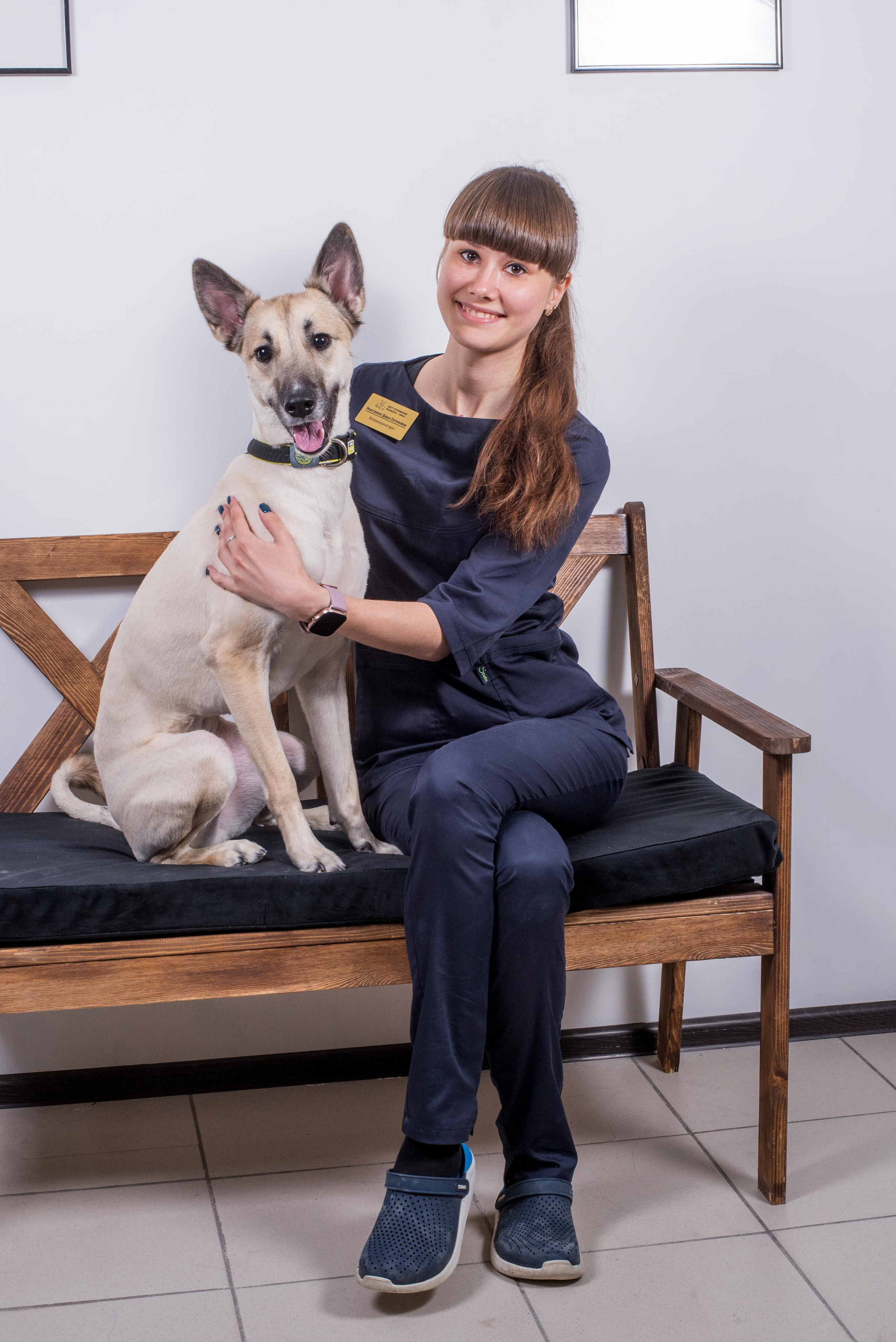 Ветеринарный центр «Ника». Дог-фотограф в Тюмени Александра Королева