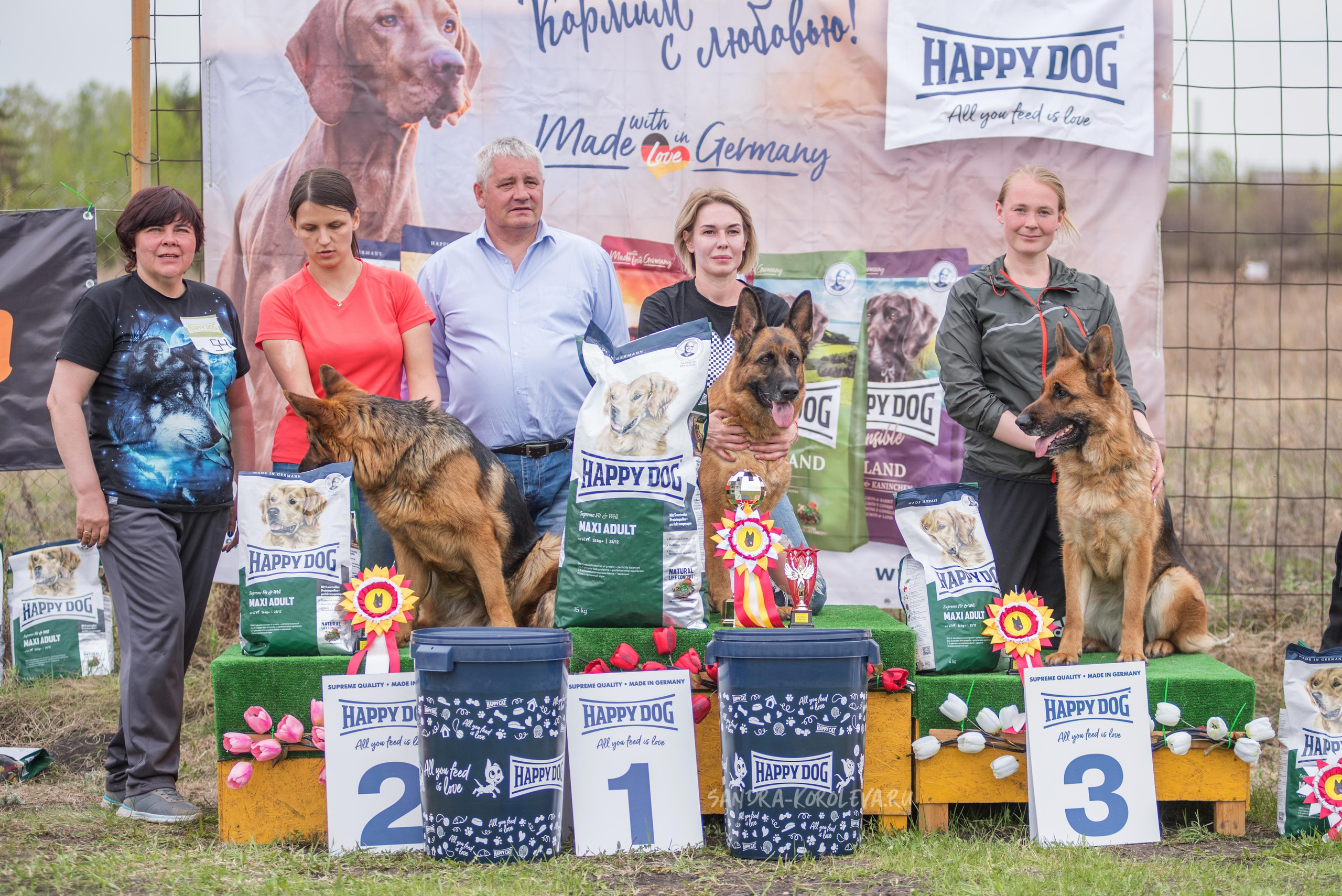 Монопородная выставка немецких овчарок 8 мая г. Челябинск. Дог-фотограф в Тюмени Александра Королева