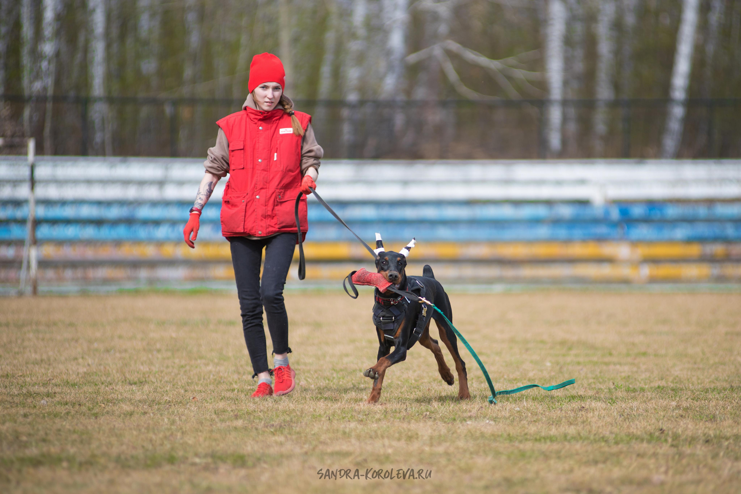 Тренинг с Сергеем Усковым май 2021 г.Тюмень. Дог-фотограф в Тюмени Александра Королева