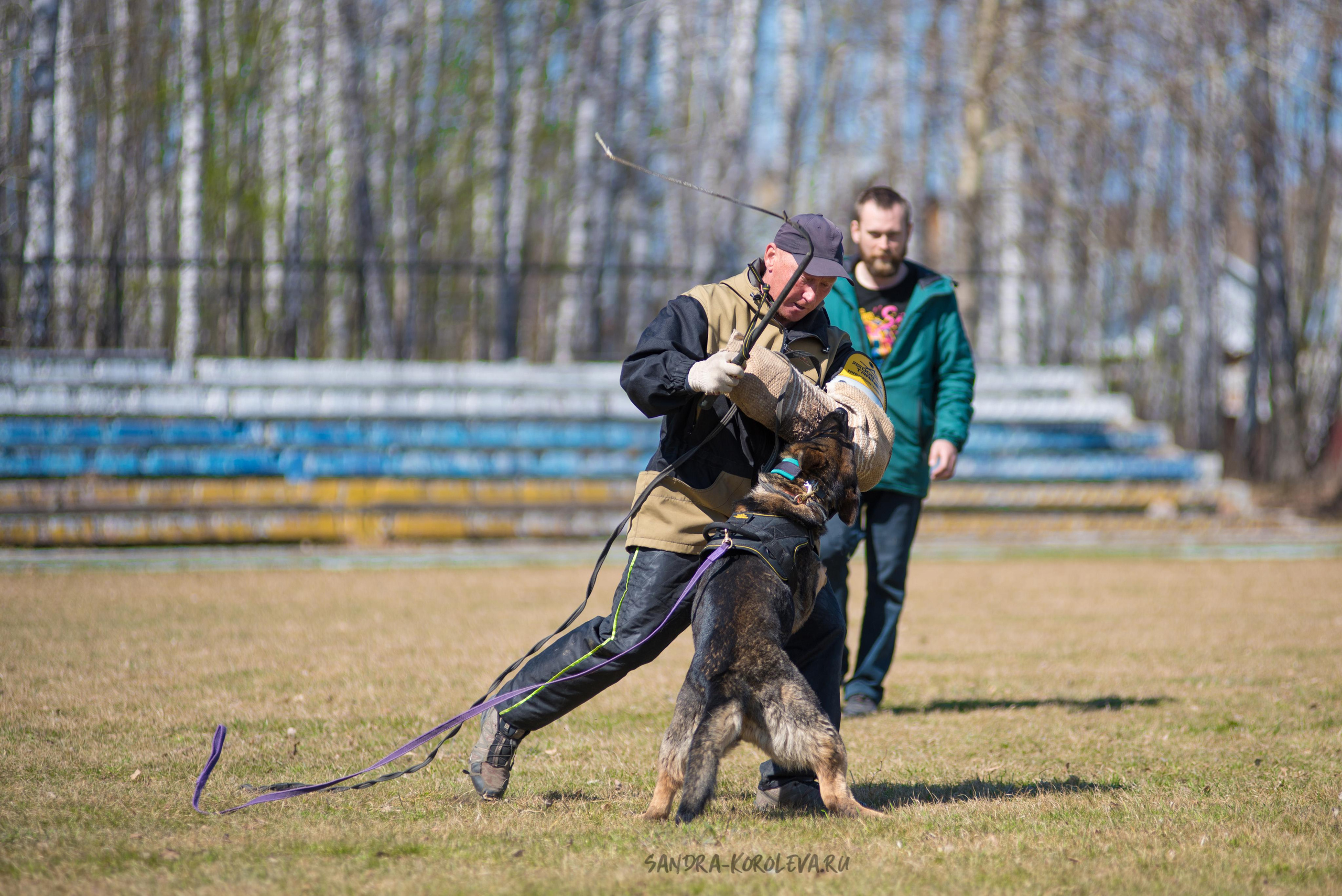 Тренинг с Сергеем Усковым май 2021 г.Тюмень. Дог-фотограф в Тюмени Александра Королева