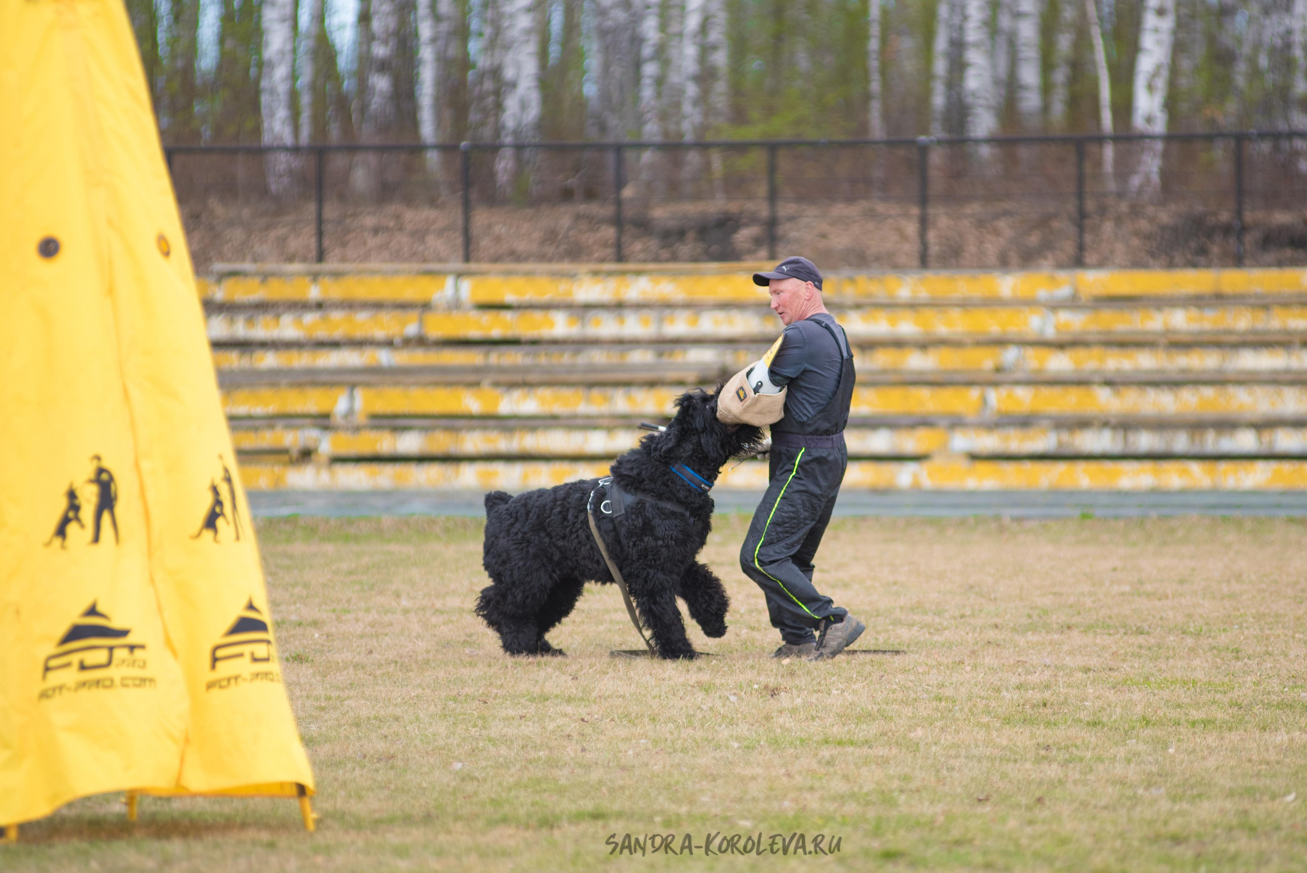Тренинг с Сергеем Усковым май 2021 г.Тюмень. Дог-фотограф в Тюмени Александра Королева