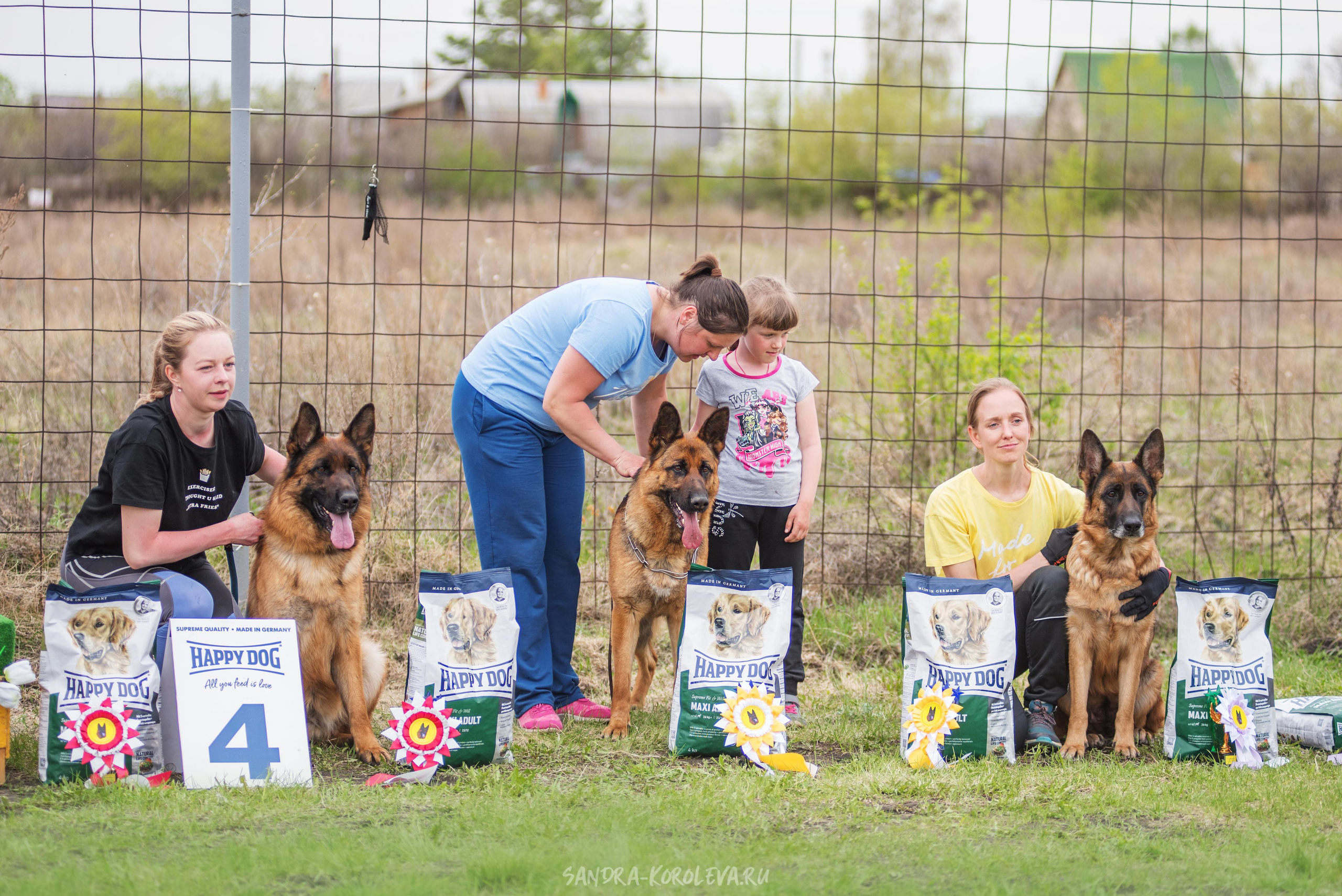Монопородная выставка немецких овчарок 8 мая г. Челябинск. Дог-фотограф в Тюмени Александра Королева