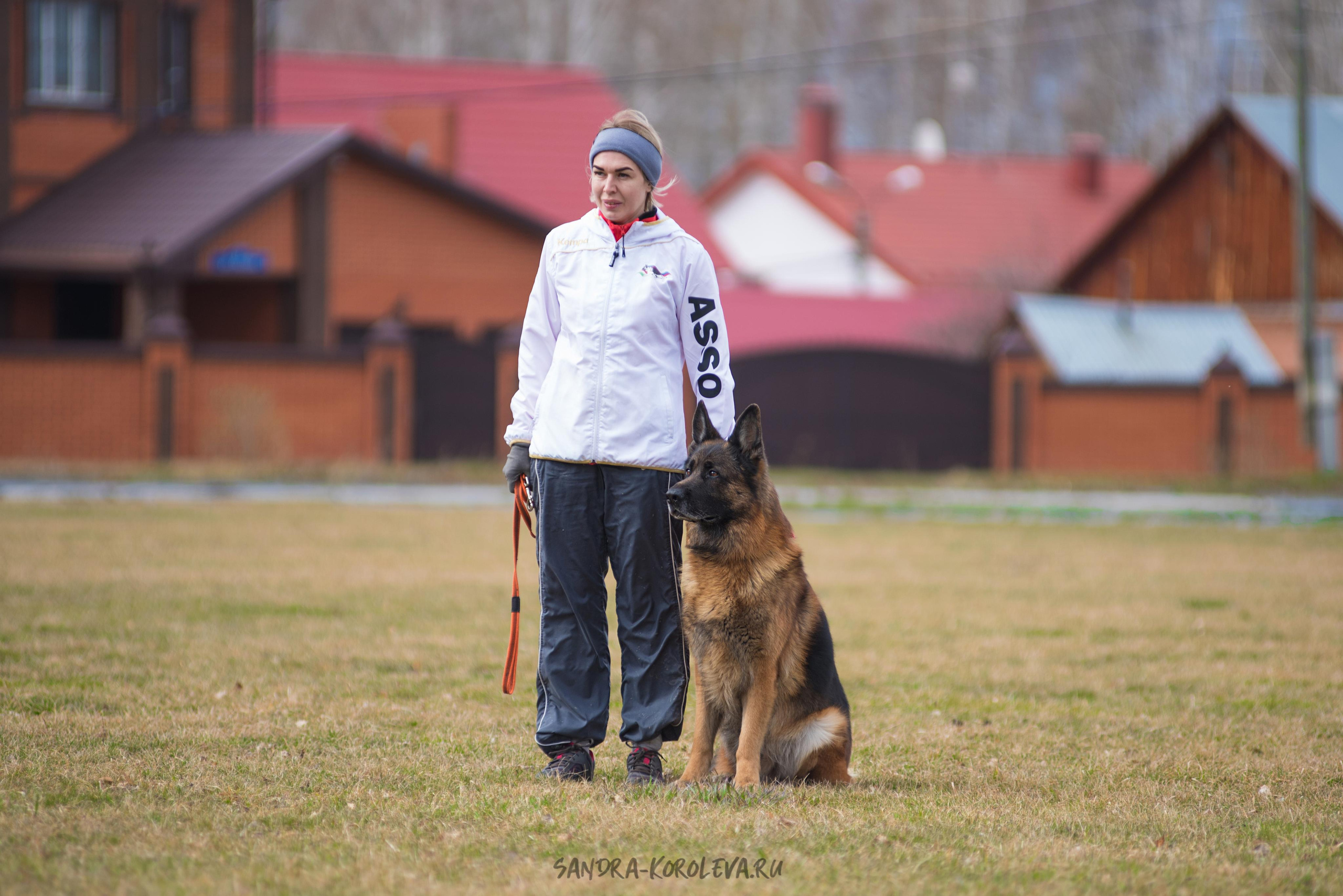 Тренинг с Сергеем Усковым май 2021 г.Тюмень. Дог-фотограф в Тюмени Александра Королева
