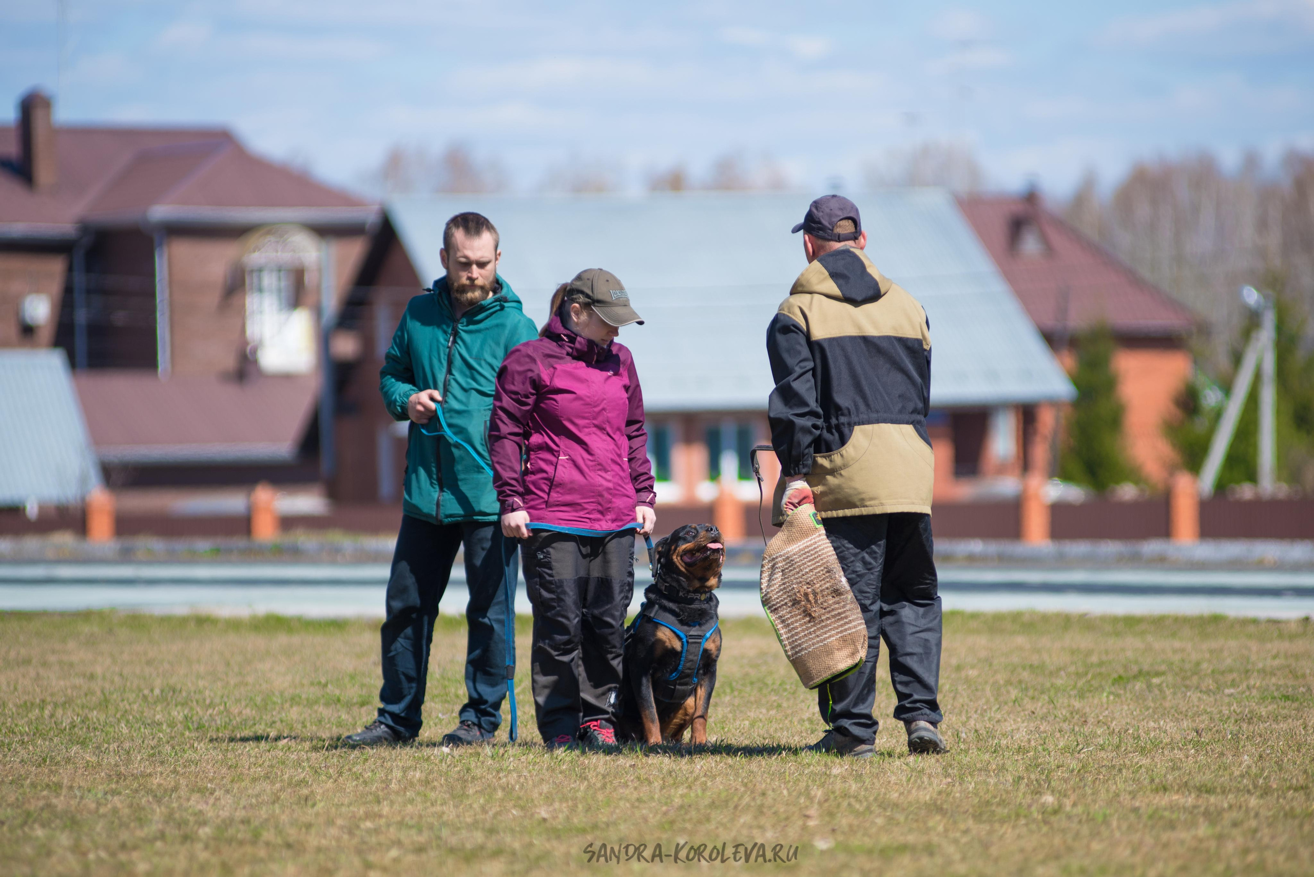 Тренинг с Сергеем Усковым май 2021 г.Тюмень. Дог-фотограф в Тюмени Александра Королева