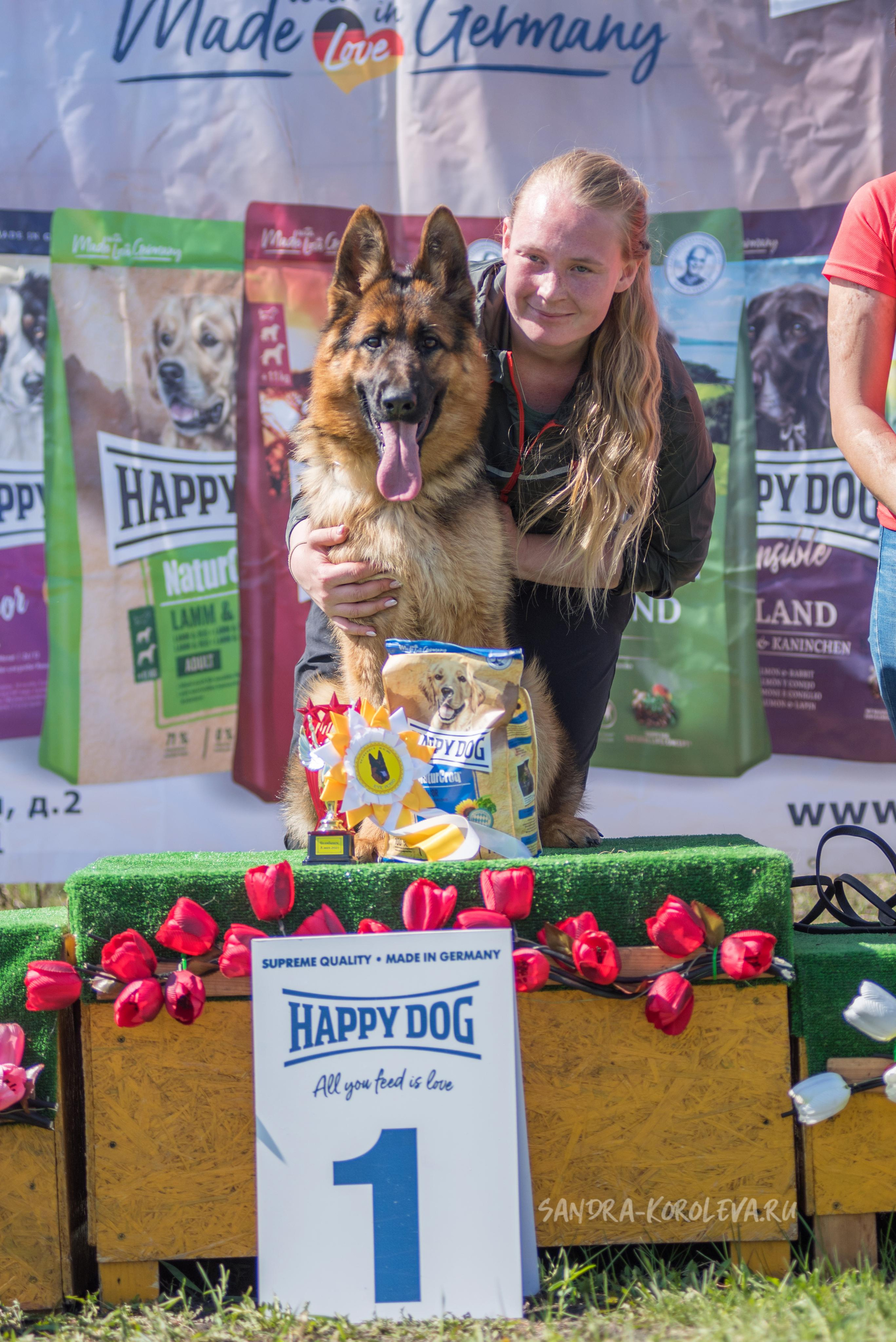 Монопородная выставка немецких овчарок 8 мая г. Челябинск. Дог-фотограф в Тюмени Александра Королева