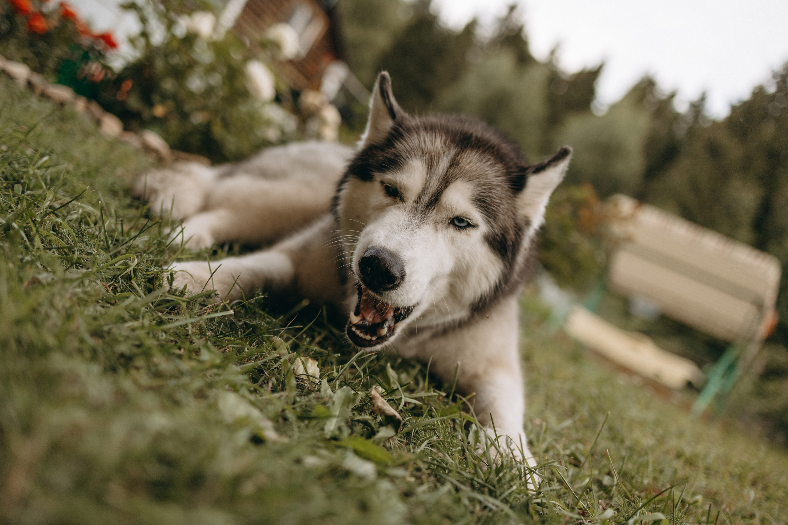Дом у реки. Фотограф — Анималист | Санкт-Петербург