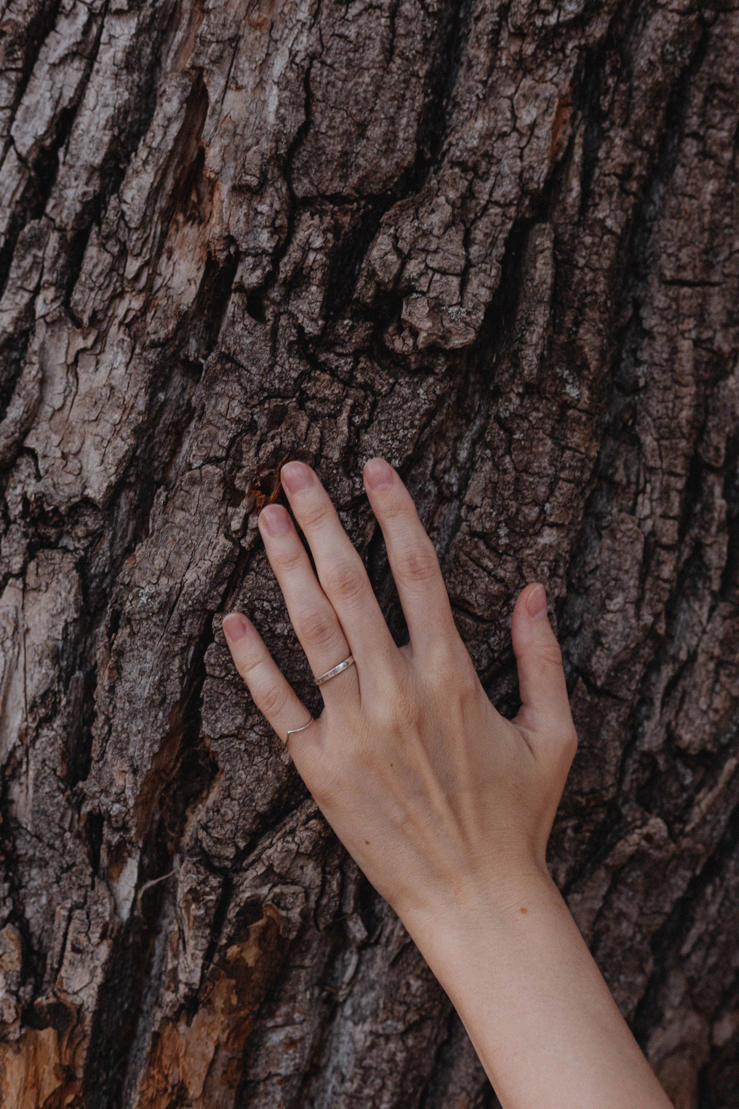 Начало романа. Надежда. Фотограф в Ростове-на-Дону и Краснодаре Елизавета Киселёва