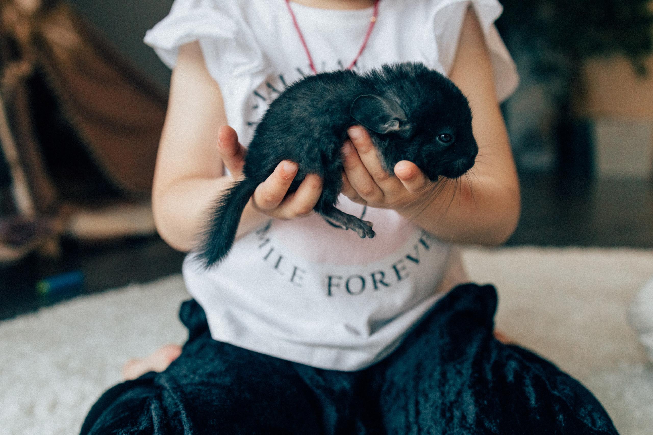 Lifstyle Фролкины. Семейный, женский и детский фотограф Татьяна Колобаева