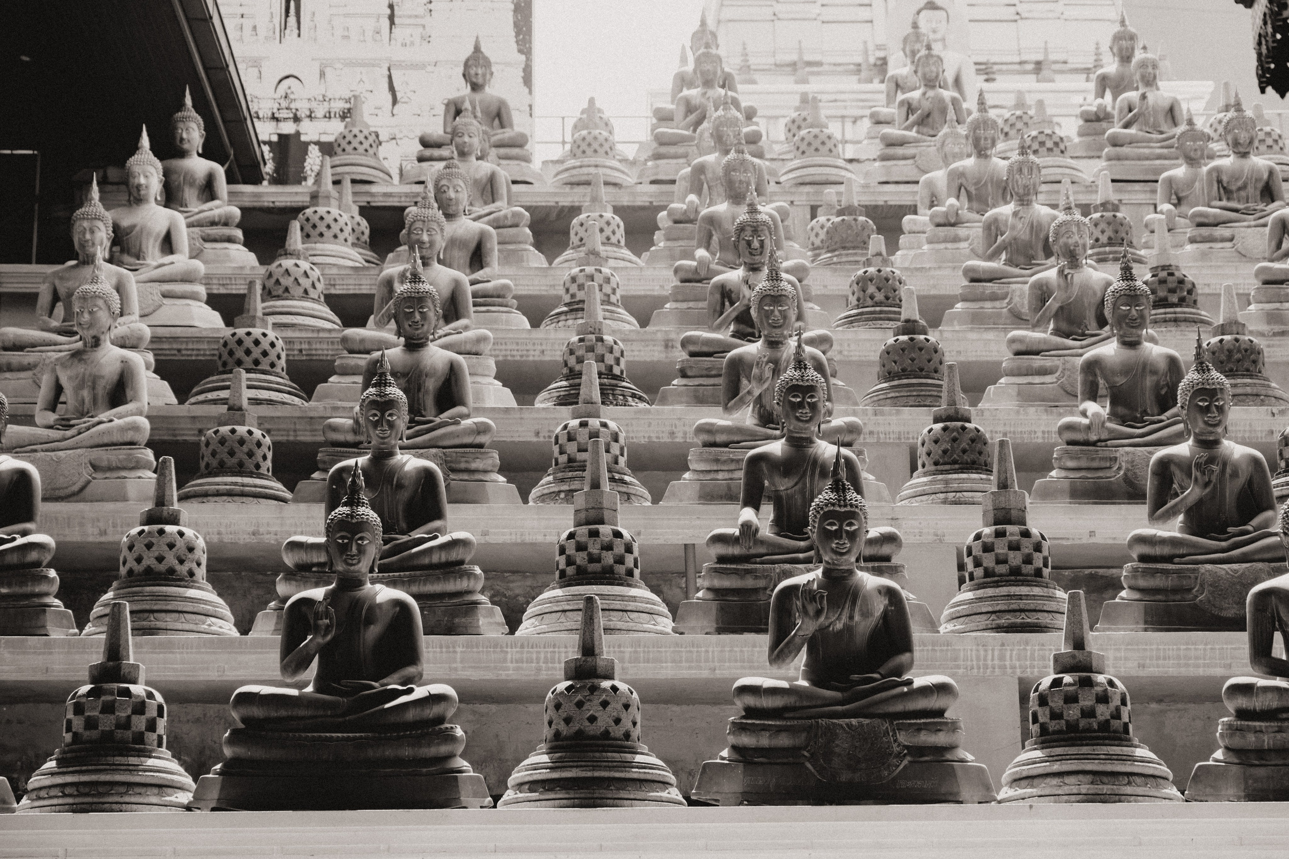 Шри-Ланка 2025. Легкая фотография