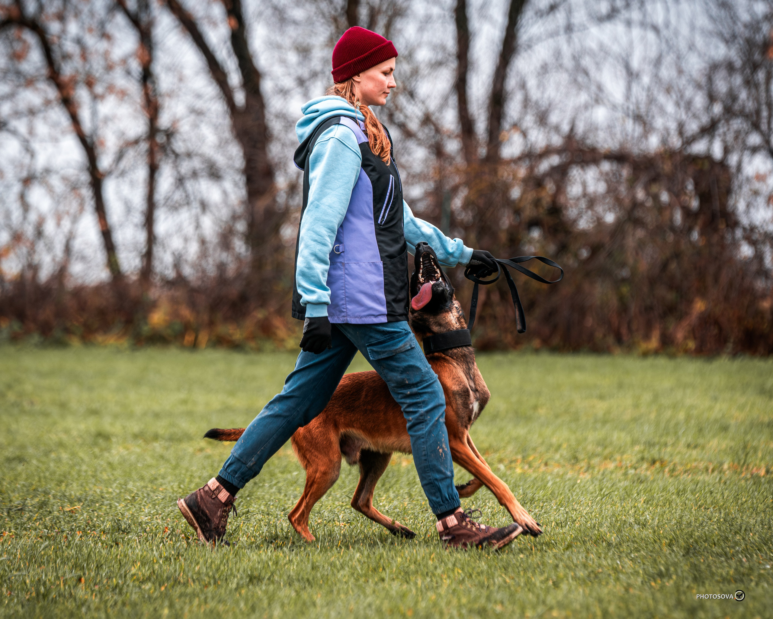 МЫ — КОМАНДА (соревнования) OKD, BH, IBGH, IGP. Фотограф-анималист, семейный фотограф в Москве и Подмосковье. Фотосъёмка кинологических дисциплин