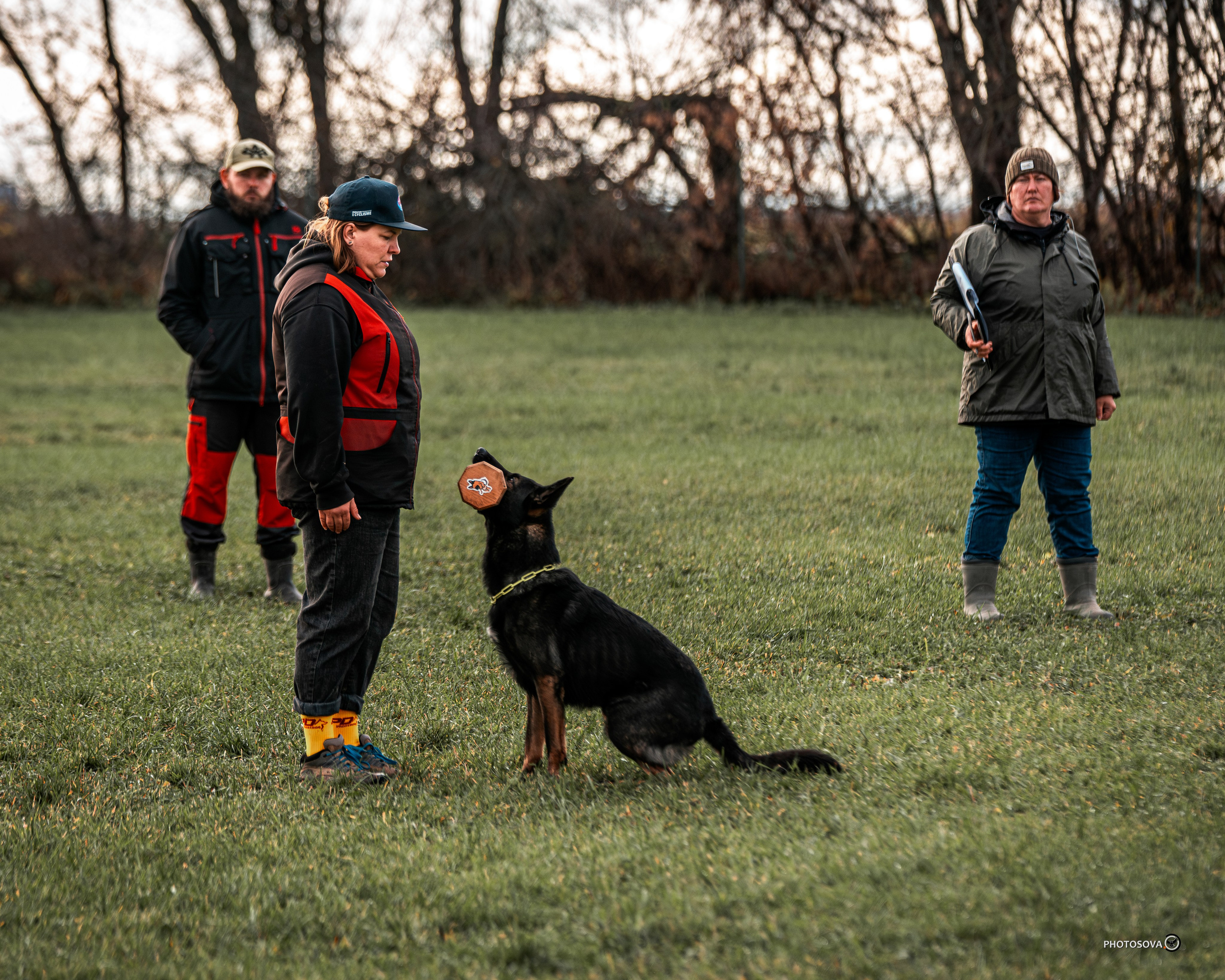 МЫ — КОМАНДА (соревнования) OKD, BH, IBGH, IGP. Фотограф-анималист, семейный фотограф в Москве и Подмосковье. Фотосъёмка кинологических дисциплин