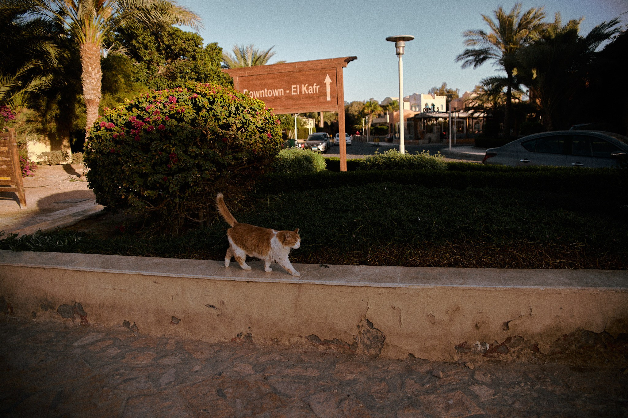 Улица горизонтальная. Jorgis — фотограф в Хургаде / обучение фотографии