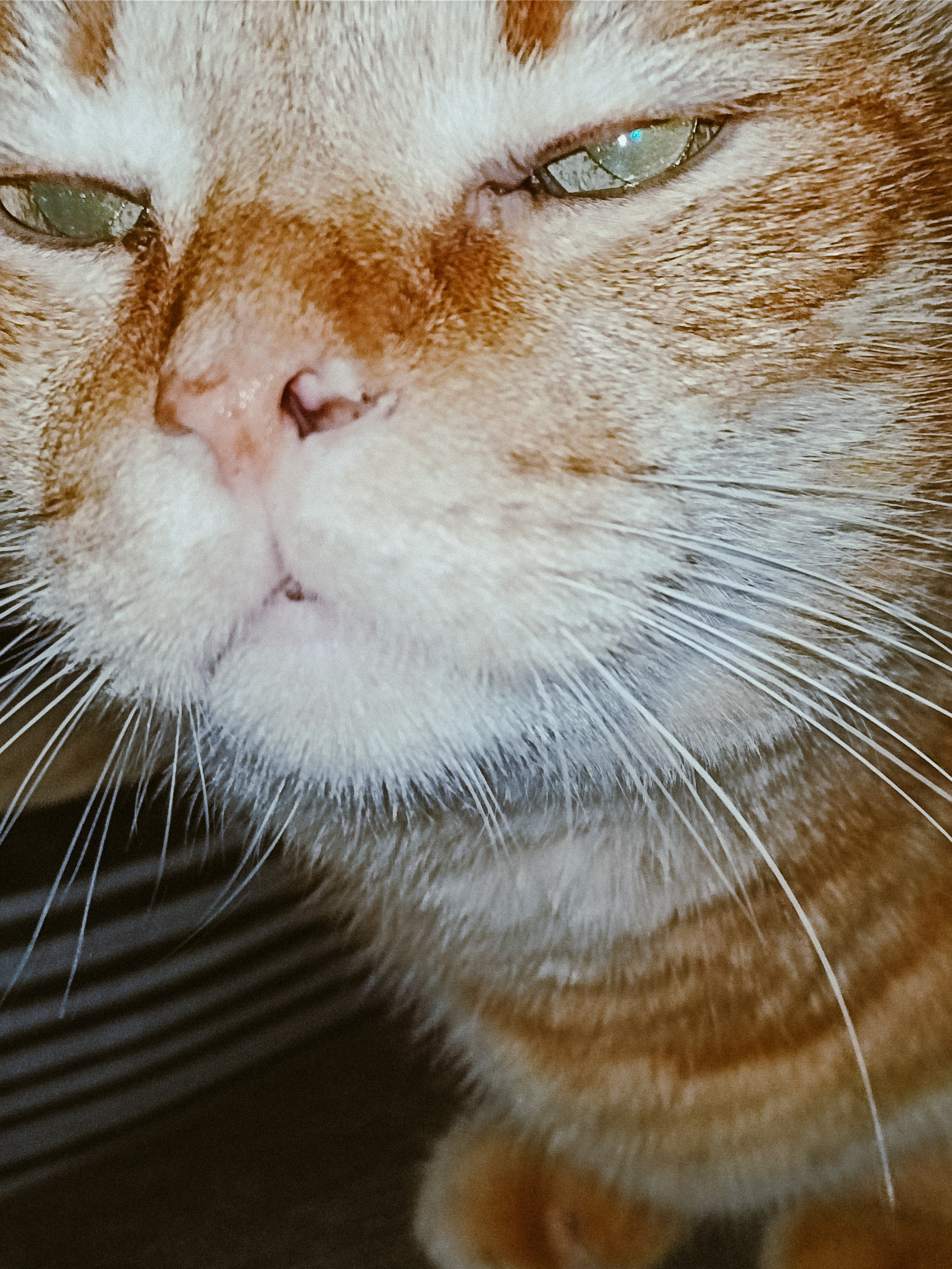 Мобильная. Jorgis — фотограф в Хургаде / обучение фотографии