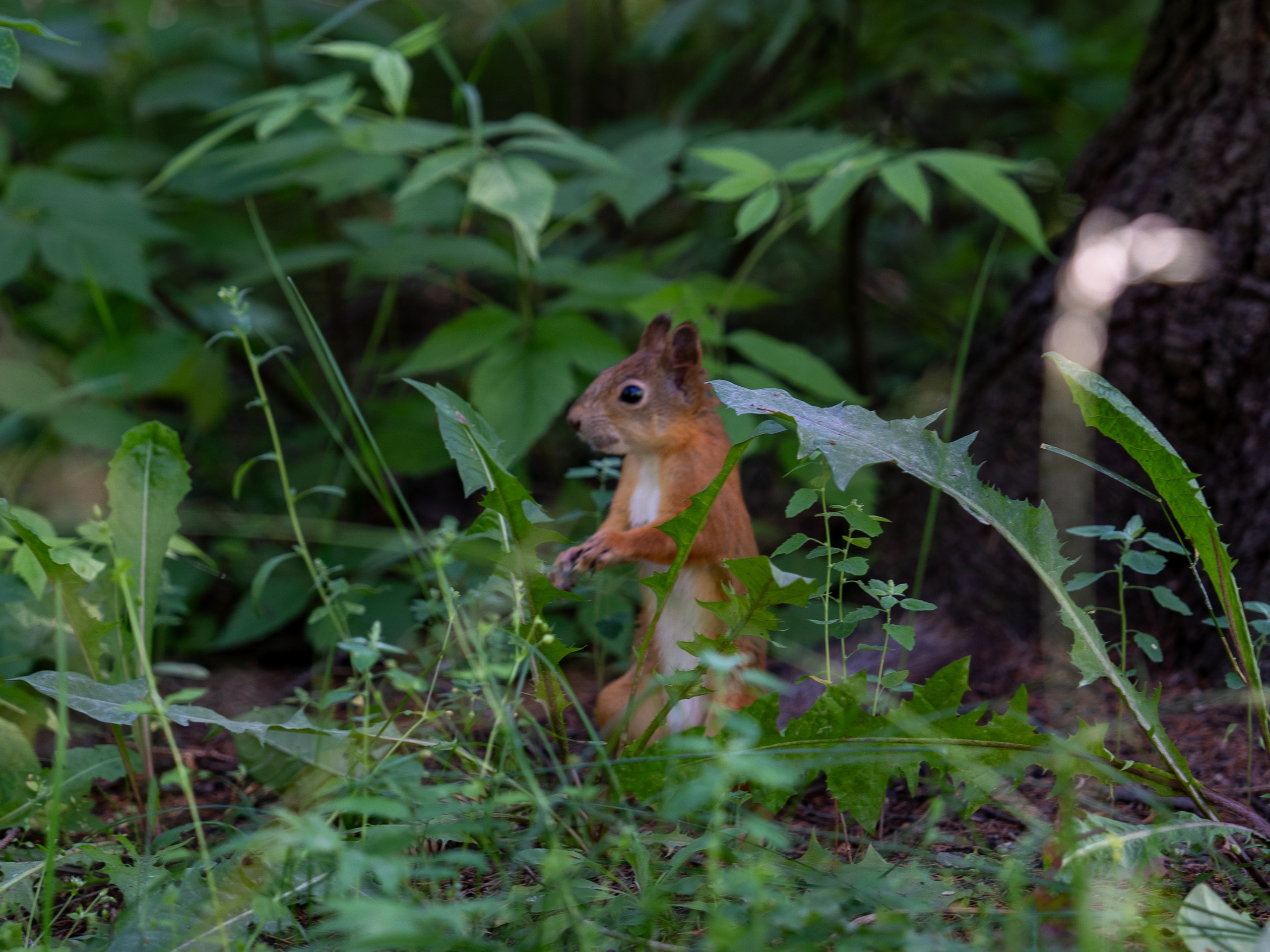 Серёжа и Юля. Фотограф Наталья Сорока Ижевск