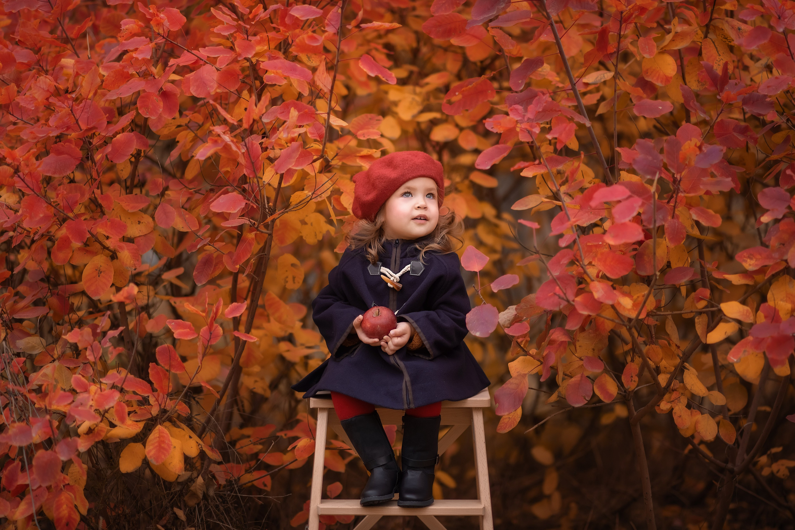Дети осень. Семейный, детский и женский фотограф в Ростове-на-Дону Кирилина Екатерина