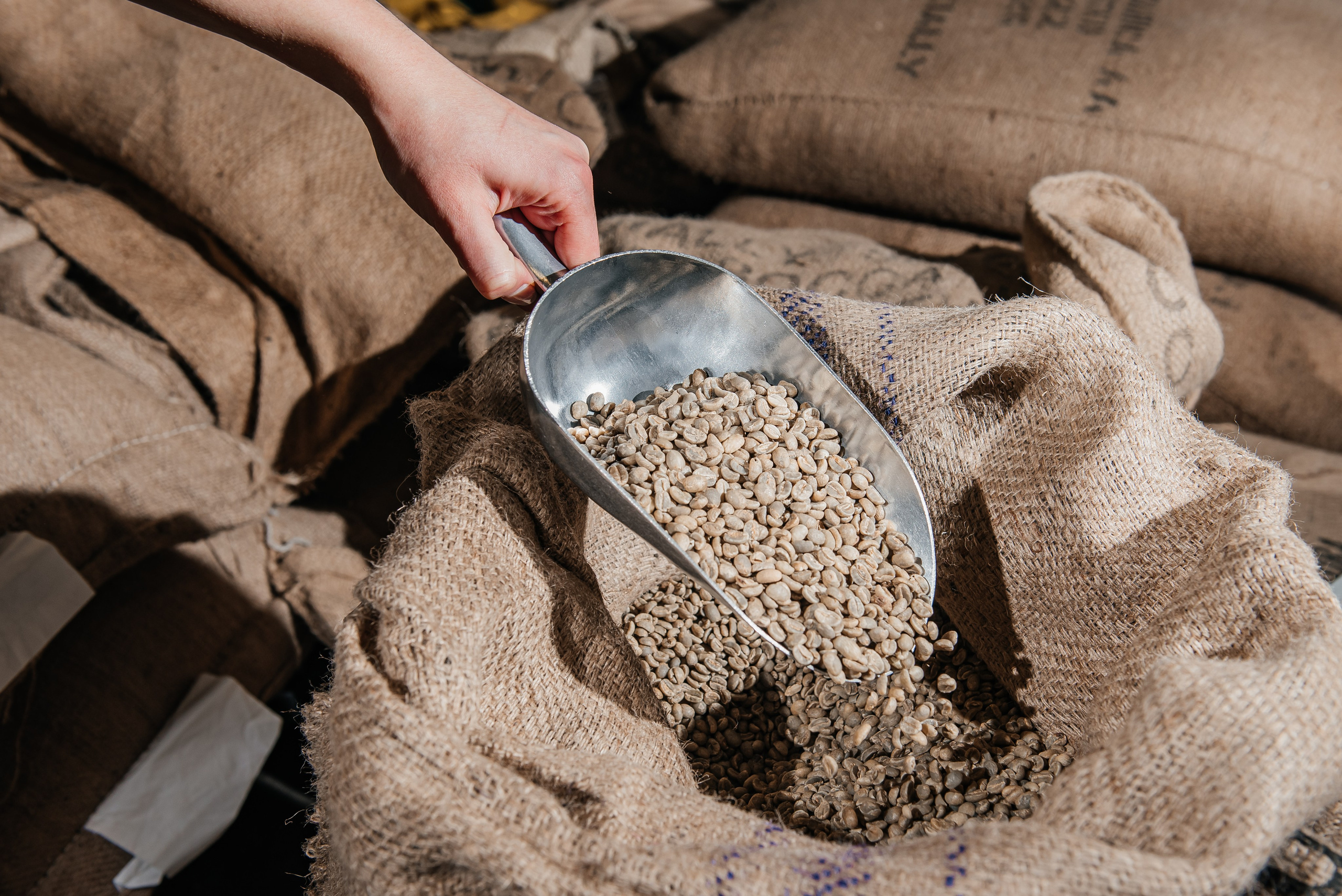 Ботаника кофе рекламная фотосессия. Профессиональный фотограф Артем Рахимов в Казани