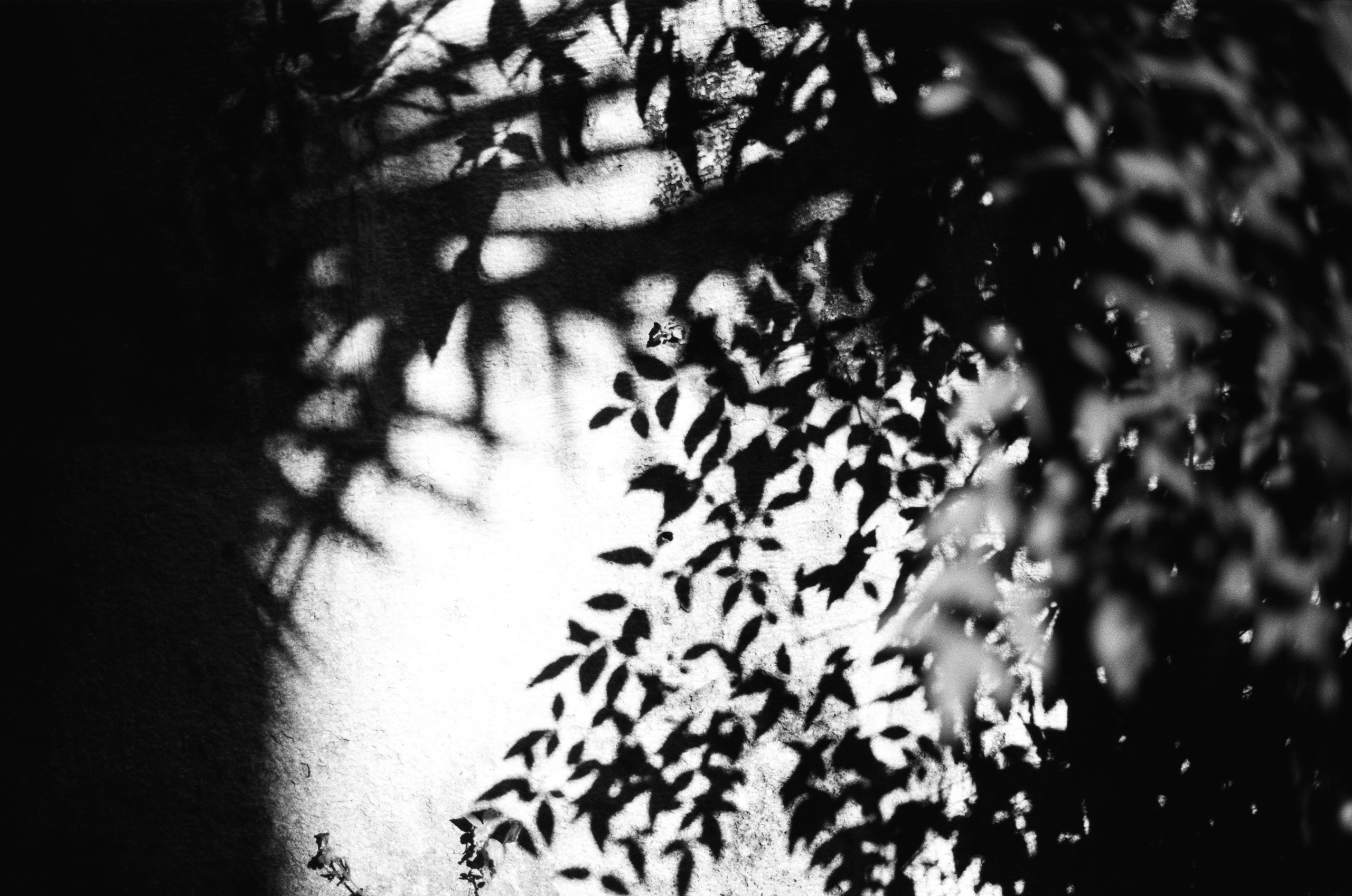 Complicated // turkey, istanbul V. EVER EXPOSED