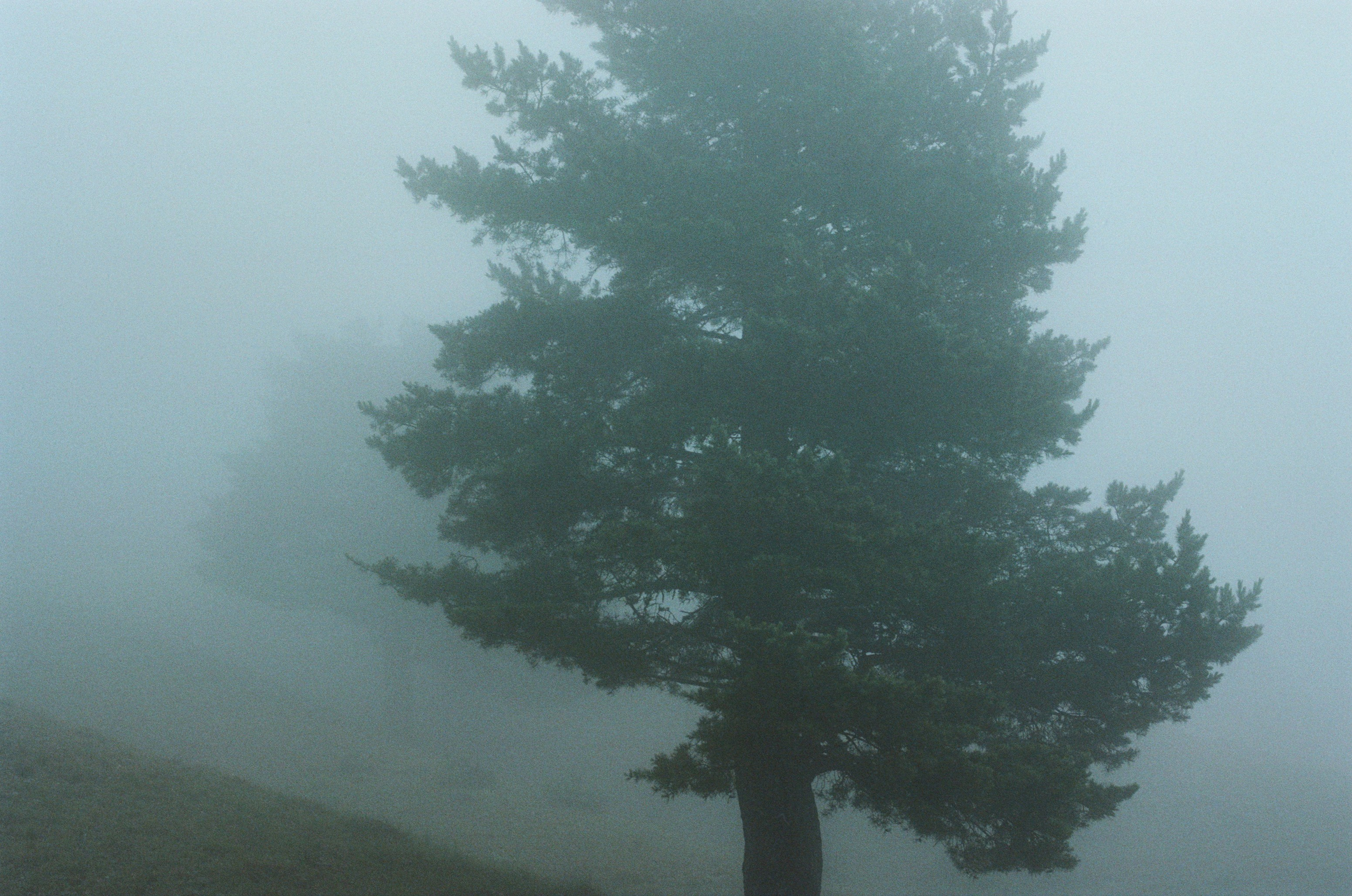 Dig it // ukraine, crimea. EVER EXPOSED