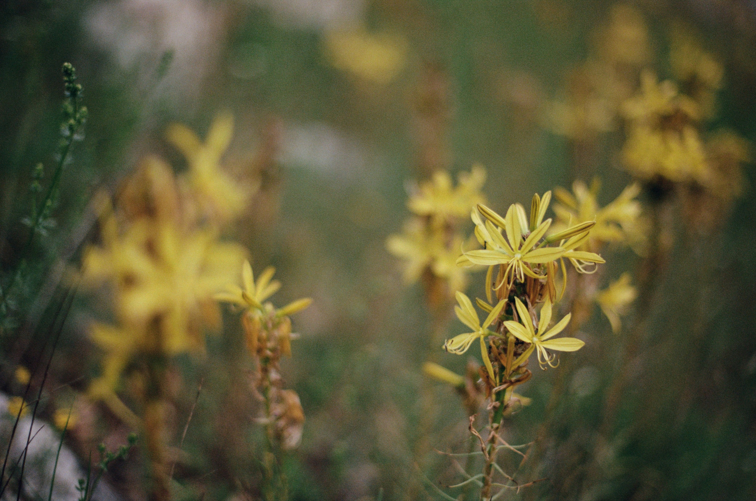 Silent running // ukraine, crimea. EVER EXPOSED