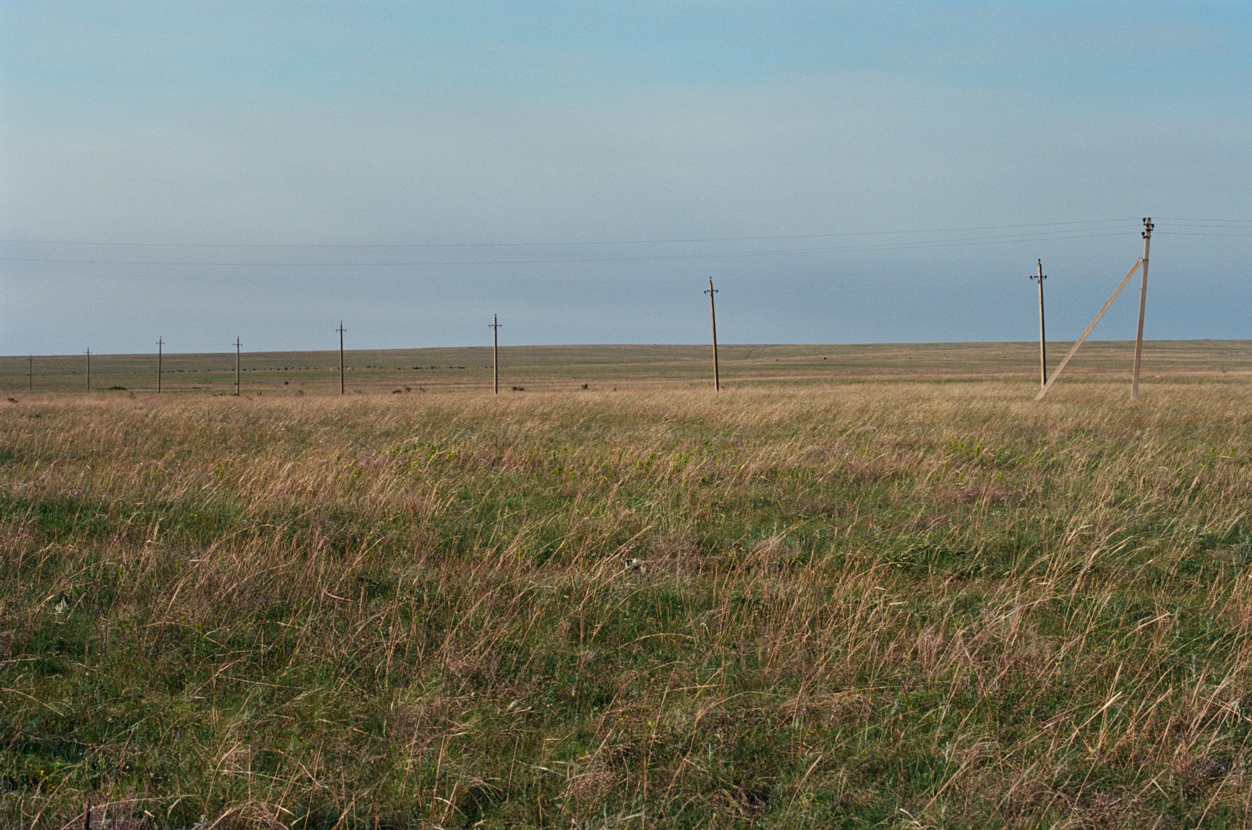 The drugs don't work // ukraine, crimea II. EVER EXPOSED
