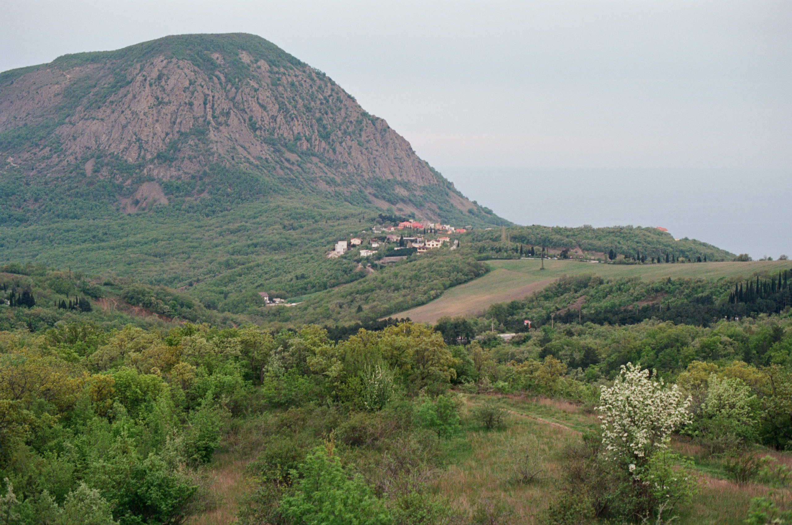 The drugs don't work // ukraine, crimea III. EVER EXPOSED