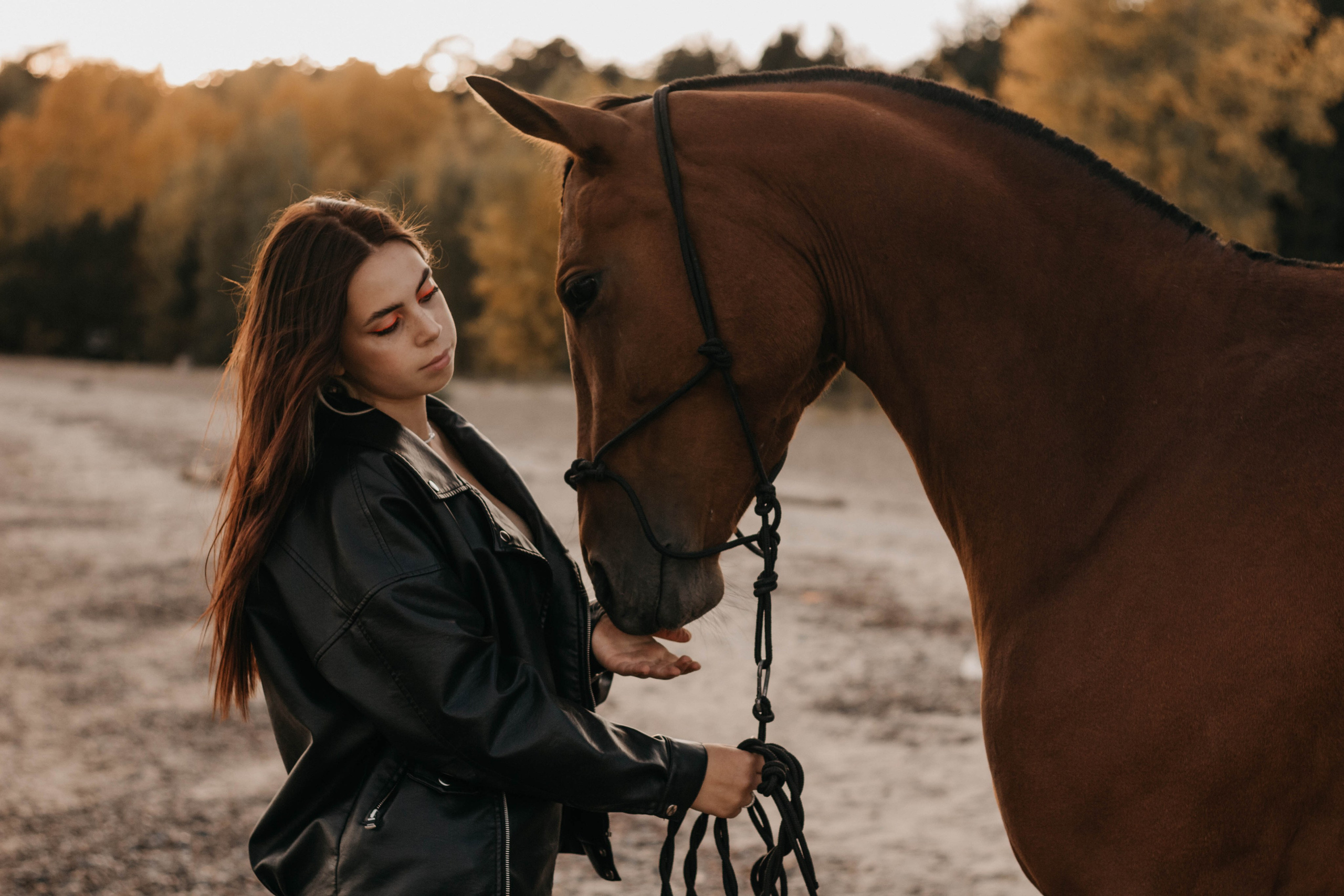Конная фотосессия. Фотограф Новосибирск Алина Клименкова