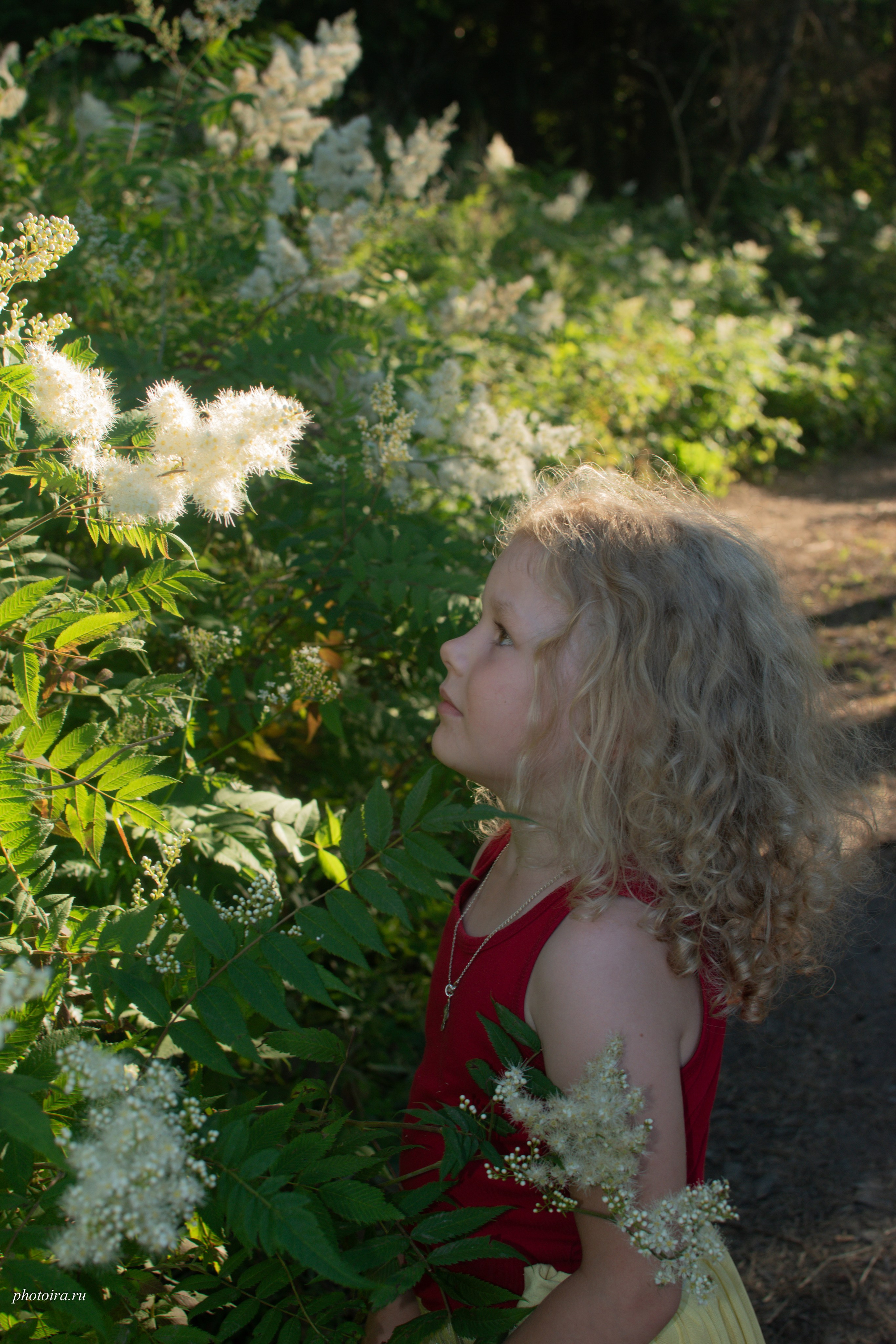 Детское фото. Семейный фотограф в г. Гатчина