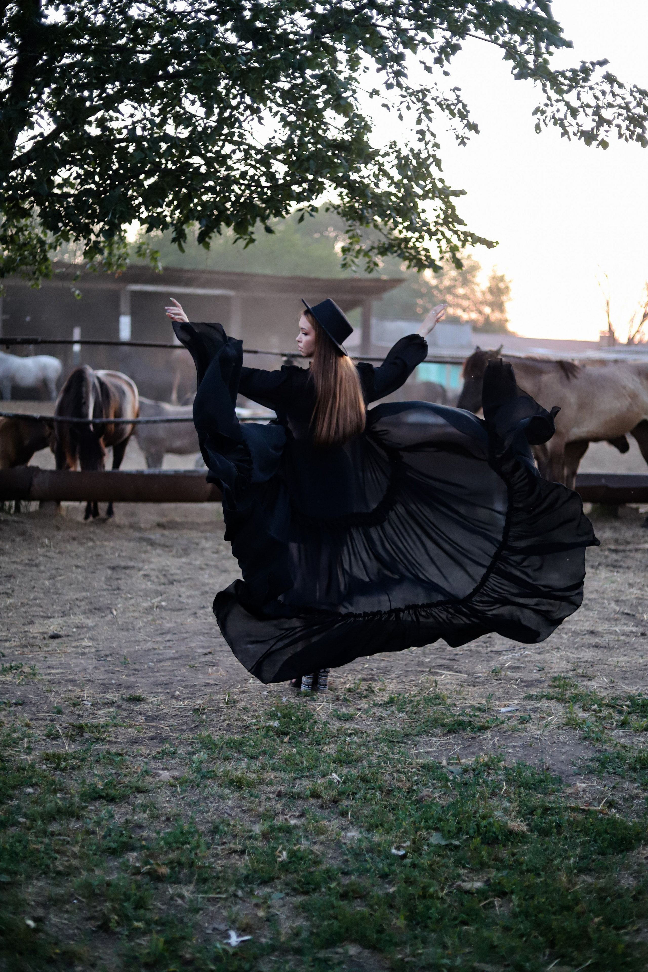 Овечки 08.08. Главная