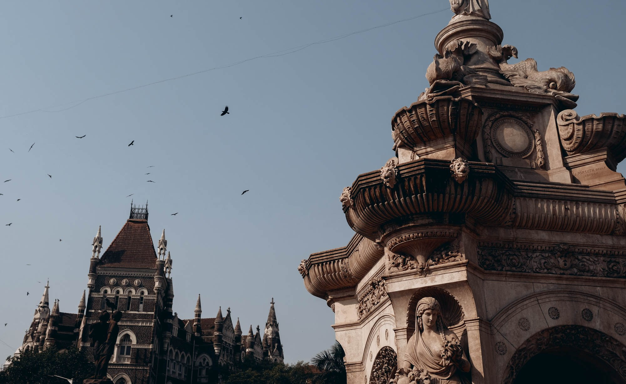 INDIA. Фотограф Дмитрий Олрайт | Калуга, Россия