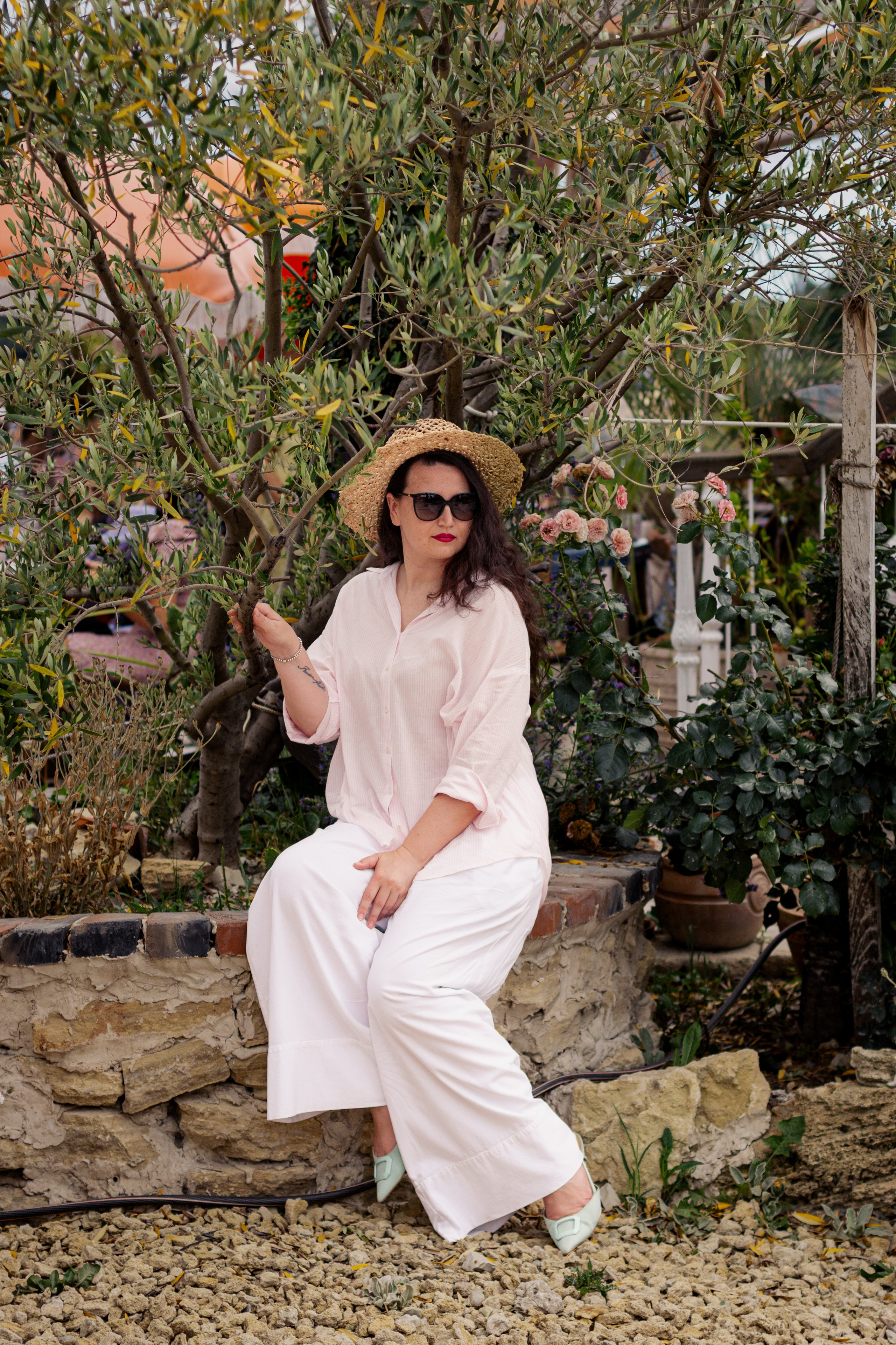 Лида. Дерево оливы. Анна Беликова — Семейный и портретный фотограф Ростов-на-Дону