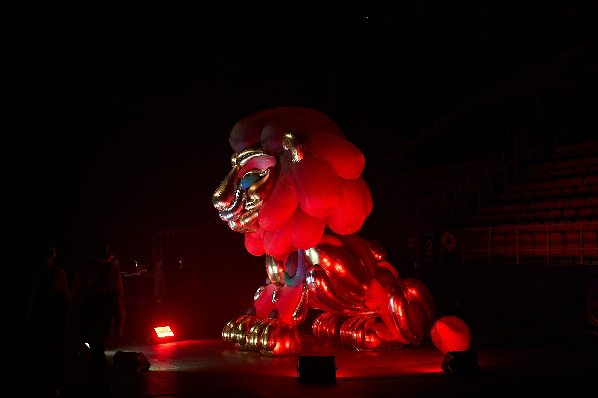 Альфа-Конфа. Фотограф в Хабаровске