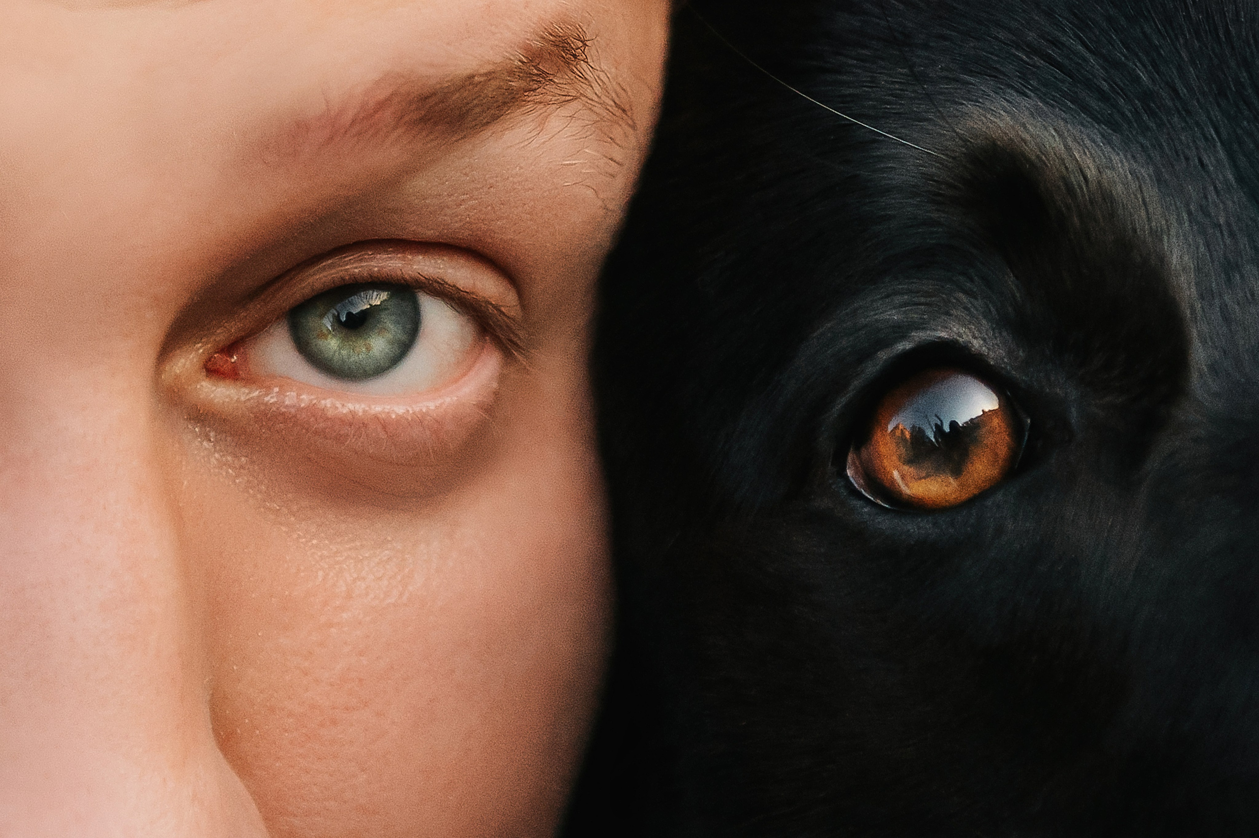 Олеся, Саша и Юка (Королев, 2024). Анна Пушина, фотограф, Москва, Королев, Пушкино