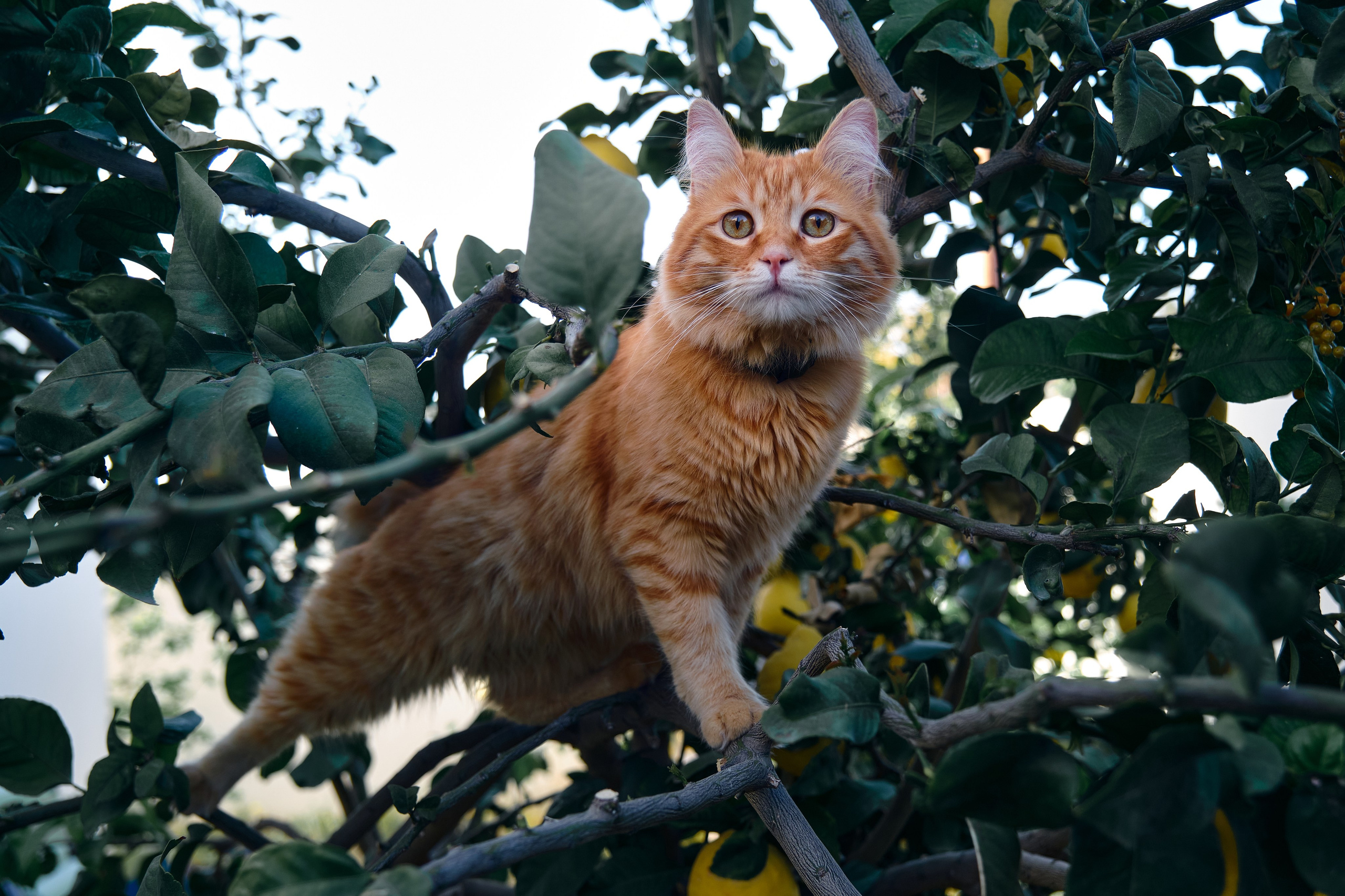 Сyprus > 2024 / april. Aleksandr Kobtsev