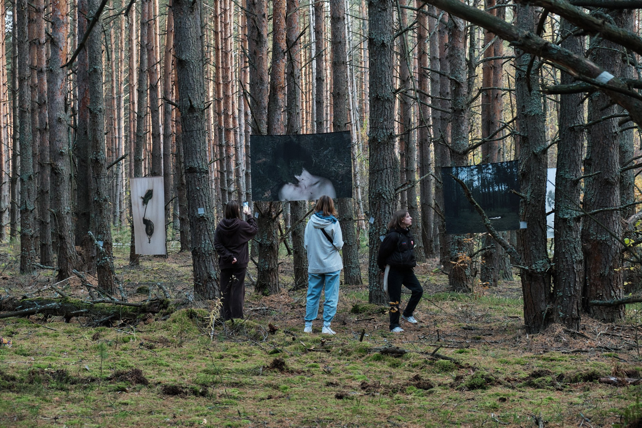 Я приношу к себе лес я себя приношу в лес. Алиса Косарева