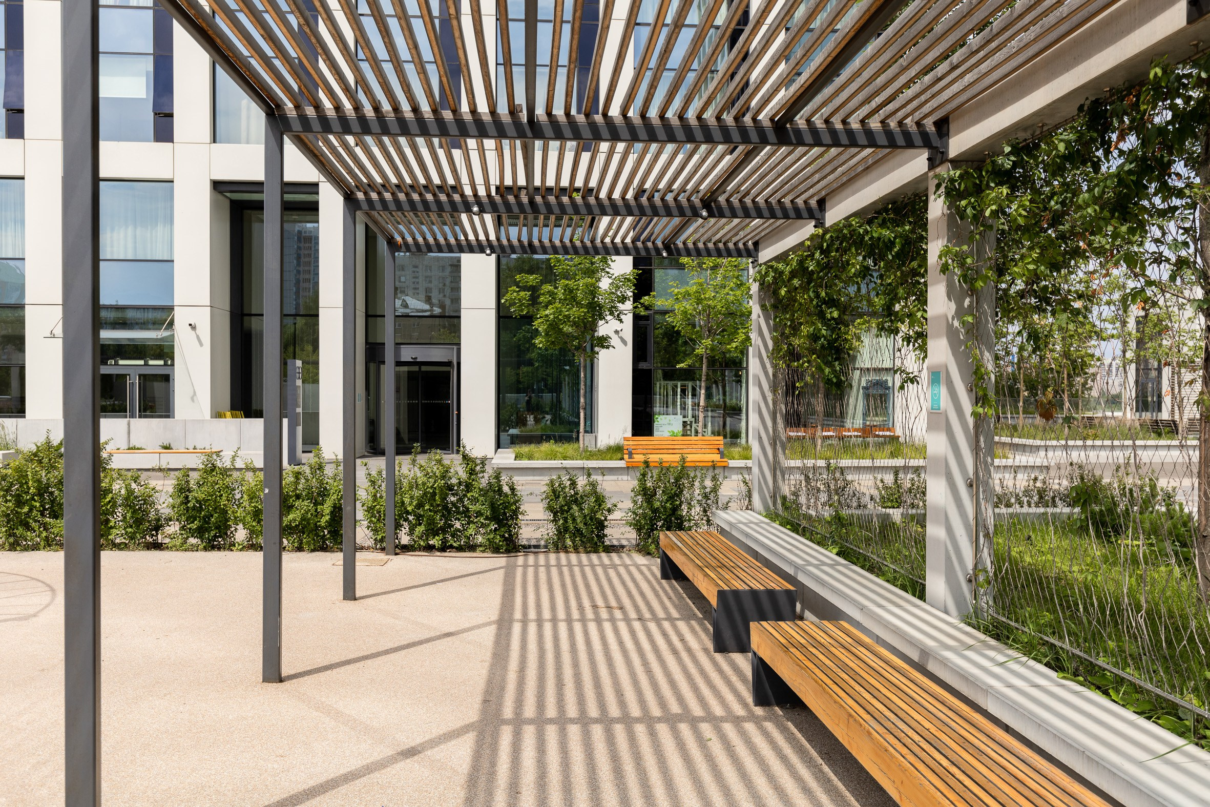 Ольга Грицевич. Фотограф Гафаров Александр