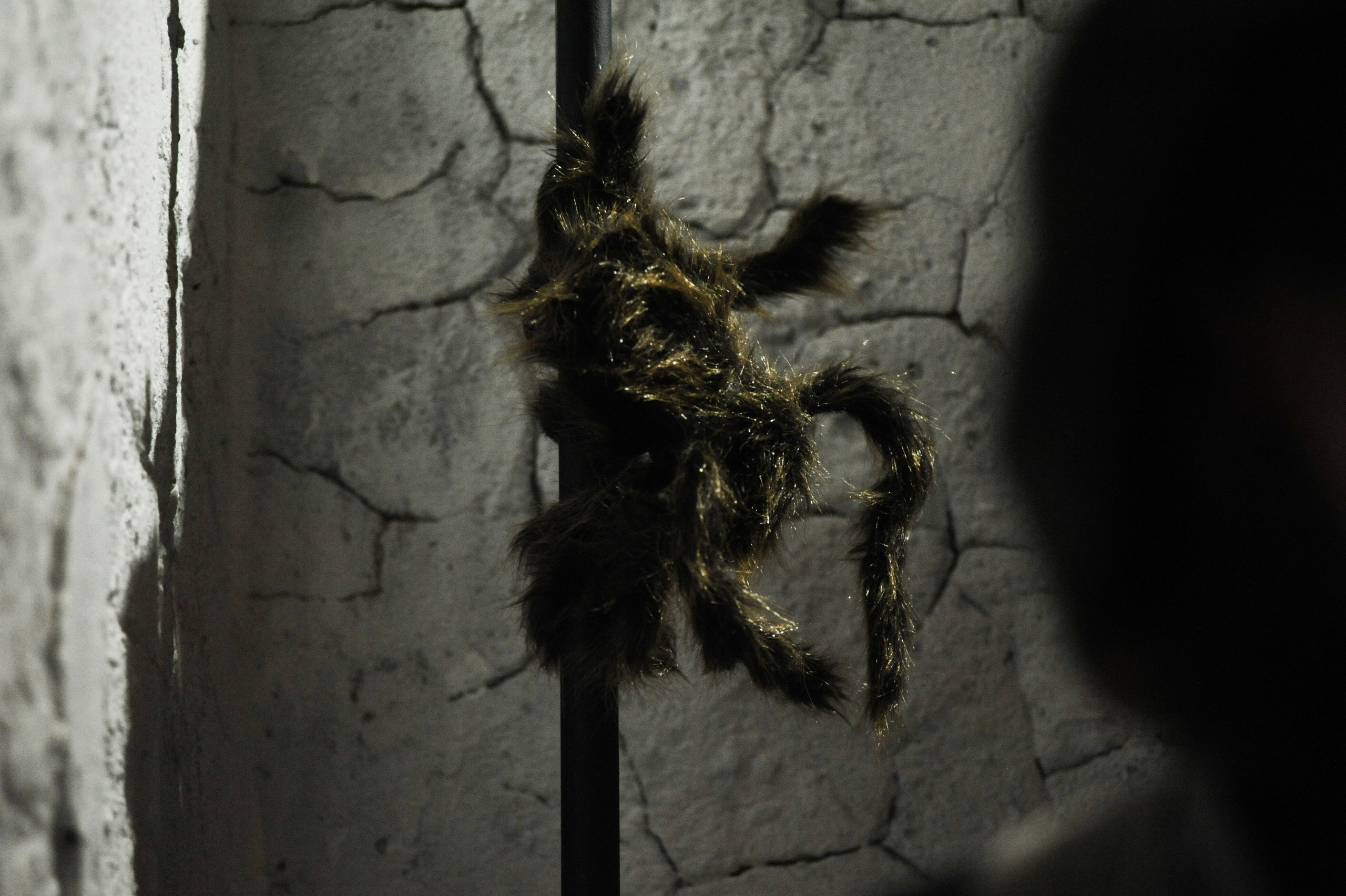 Magic Fest 26.10.2025. Фотограф Михаил Морозов. Москва и МО